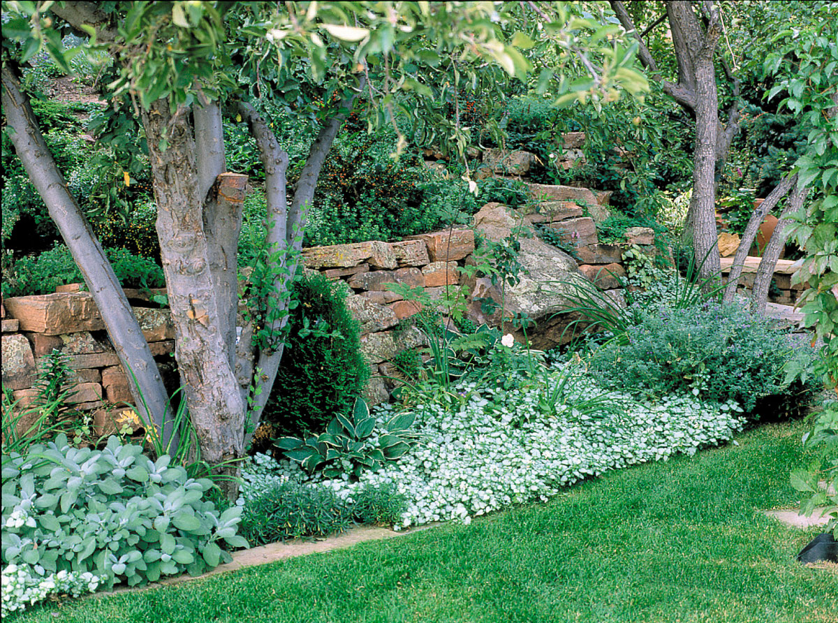 Shade Gardens That Shine