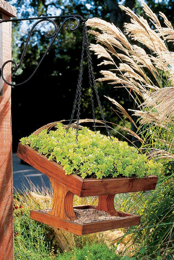 Flowering bird feeders