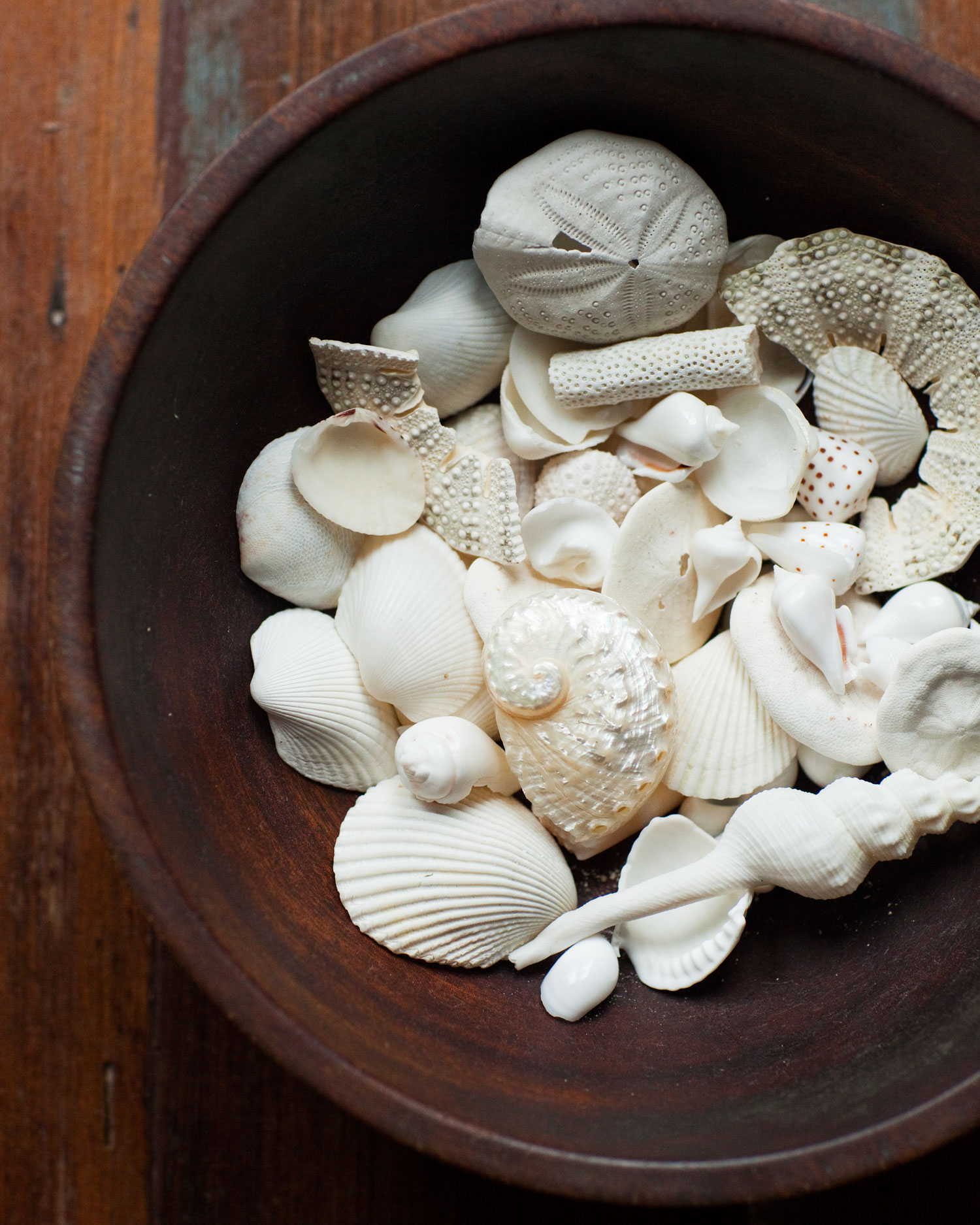 be-a-collector-of-freebies