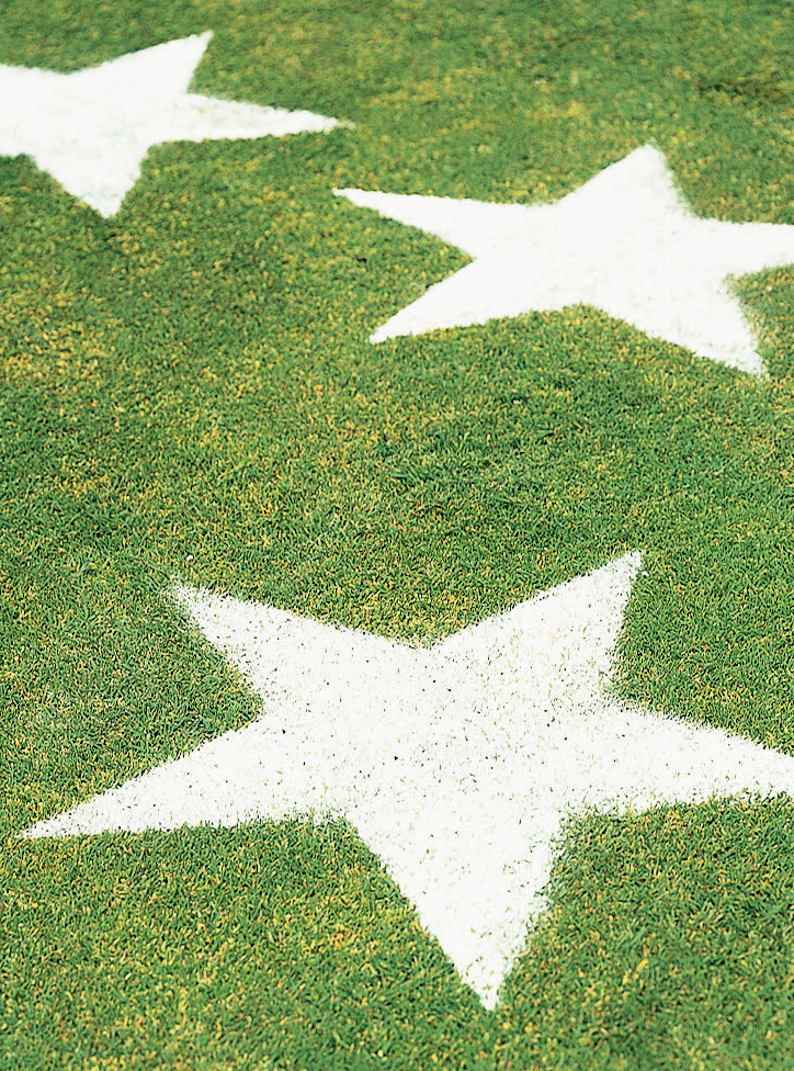 lawn-stars