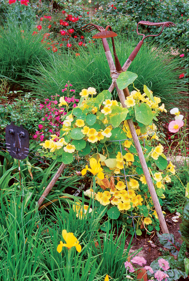 How to Build a Rustic Tipi for Climbing Plants
