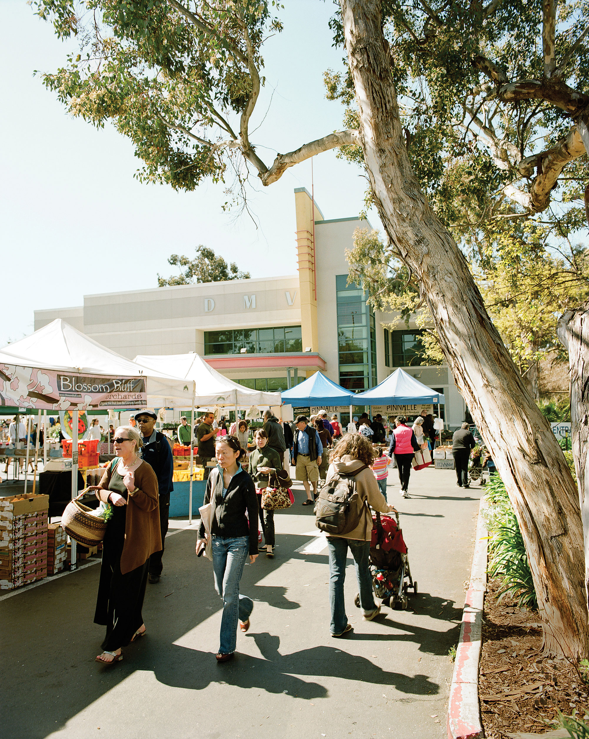 Oakland Day Trip: Temescal