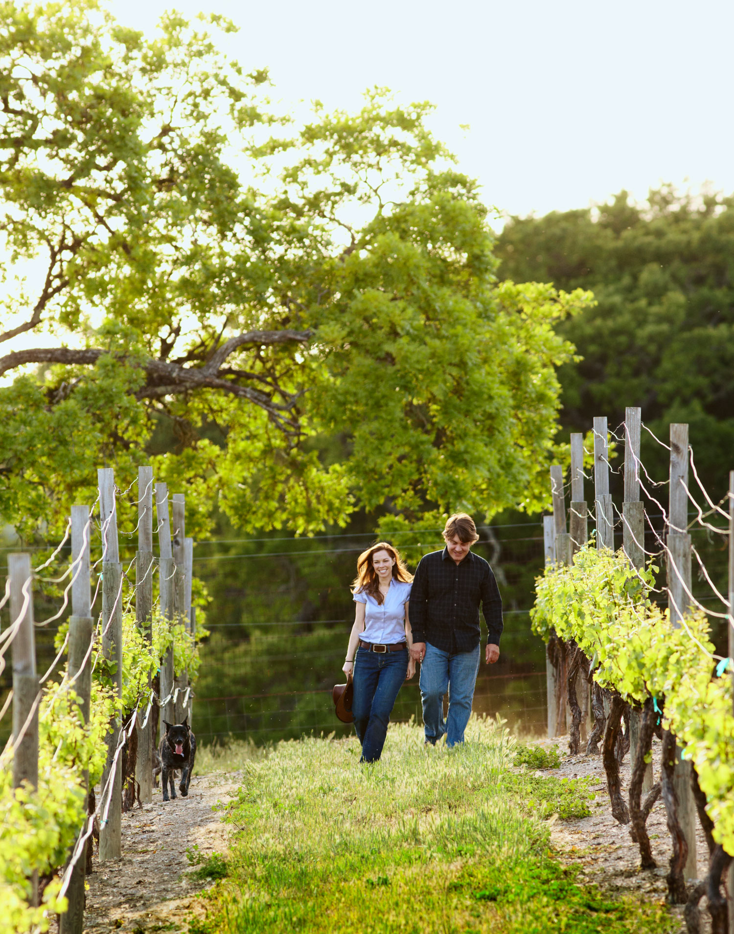 Central Coast Day Trip: Templeton