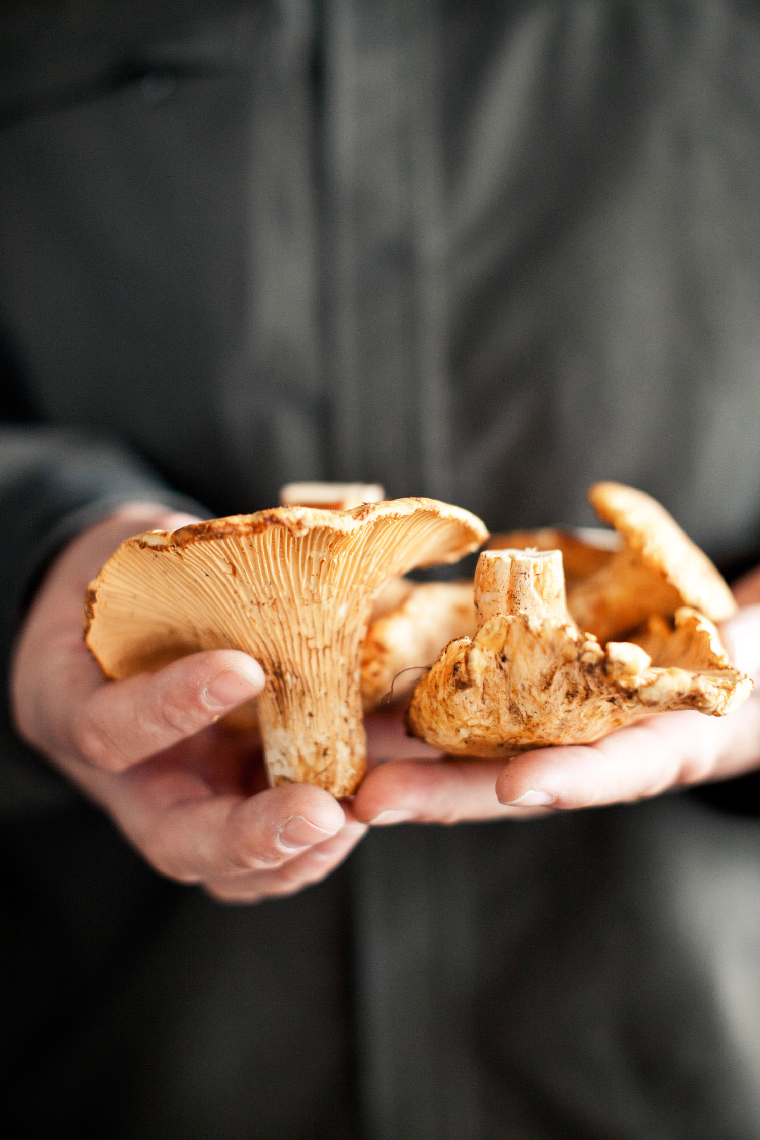 tips-for-great-tasting-mushrooms