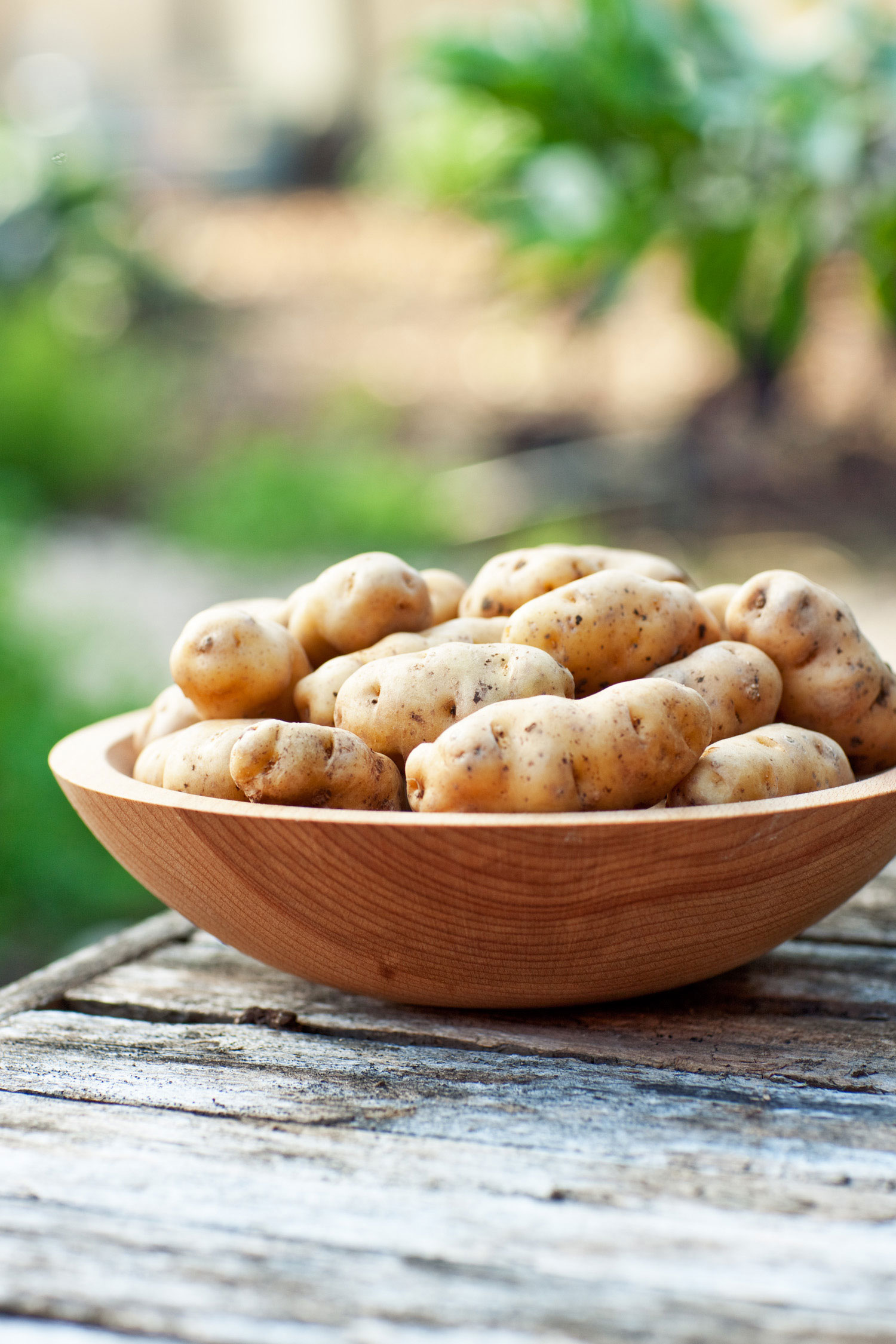 more-ozette-potato-sources