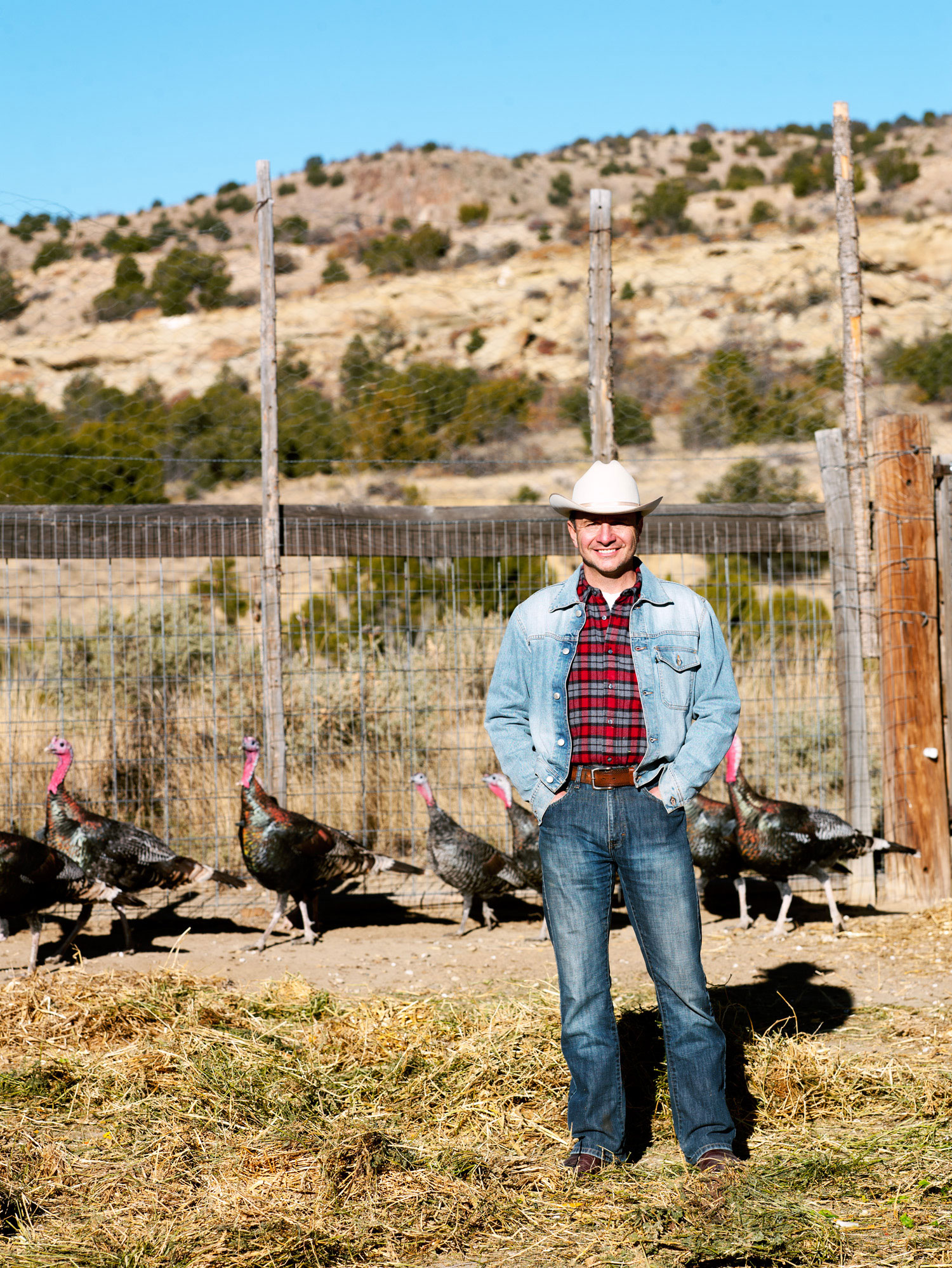 talus-wind-ranchs-heritage-turkeys