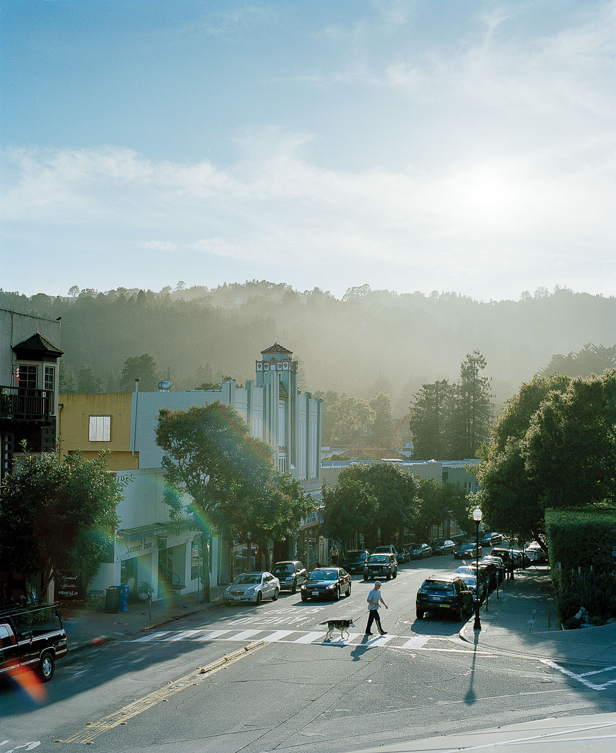 Stargaze in Mill Valley, California