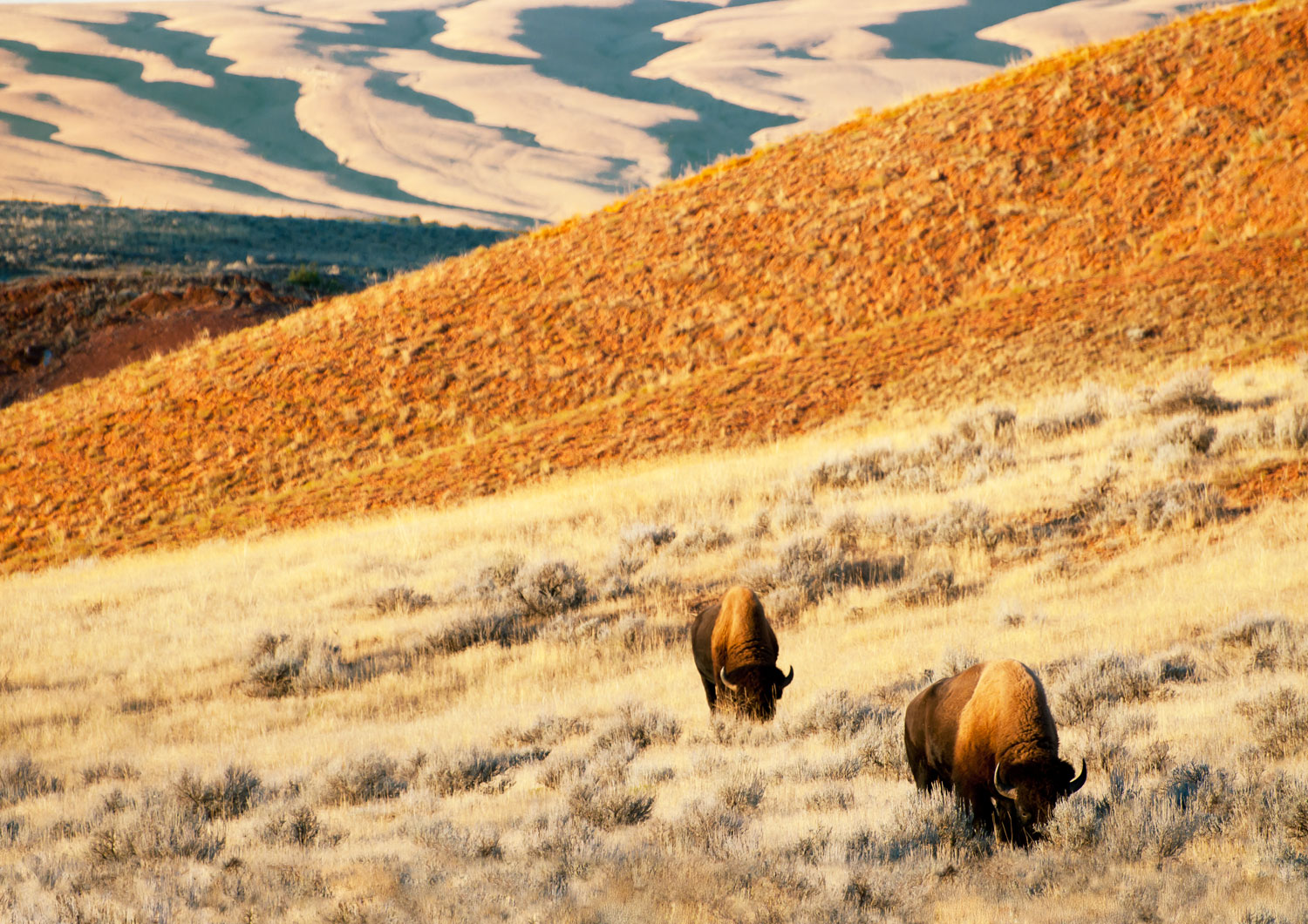 One Perfect Day in Thermopolis, WY