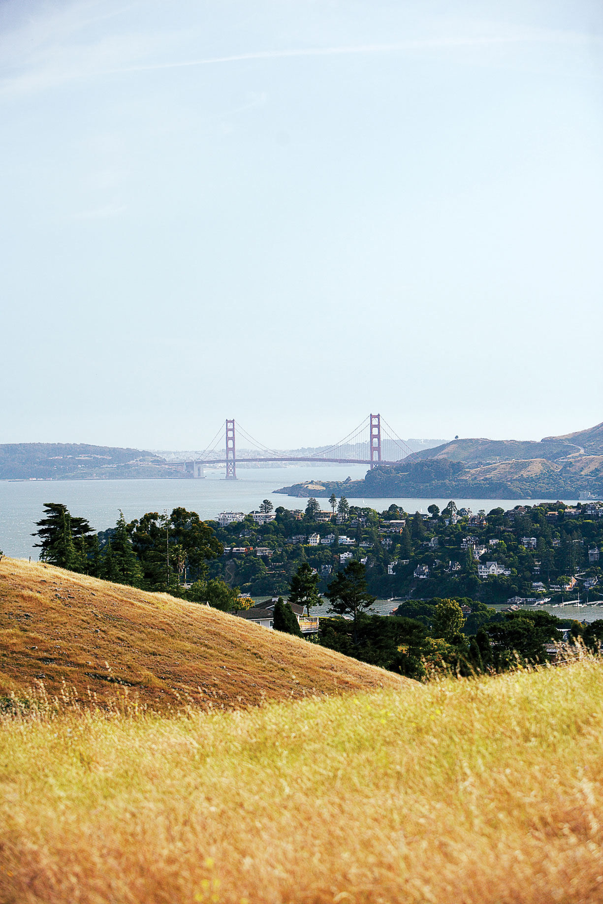 Ferry to Tiburon, California
