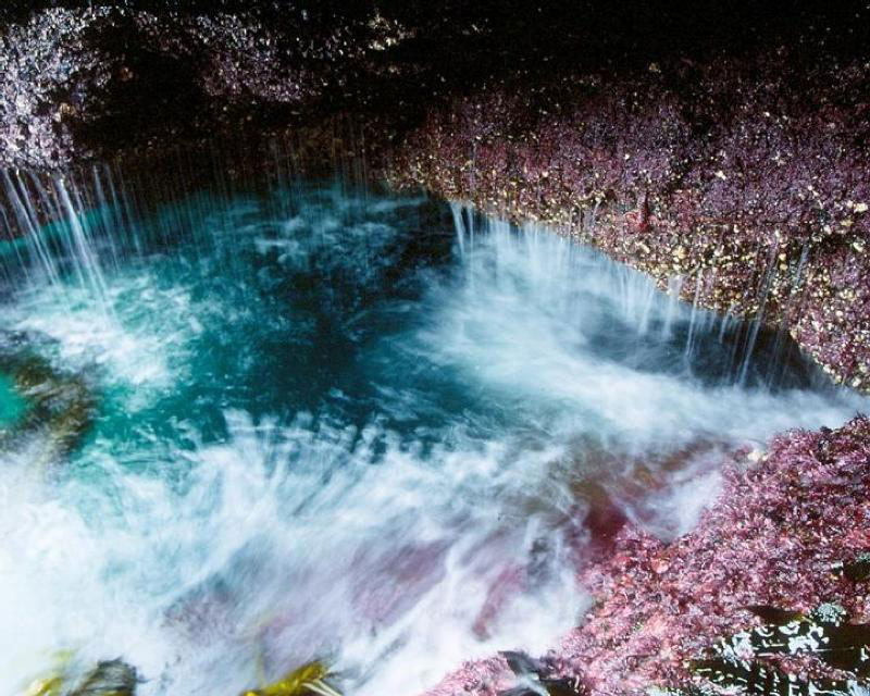 tidepools-frenchys-cove-anacapa-island