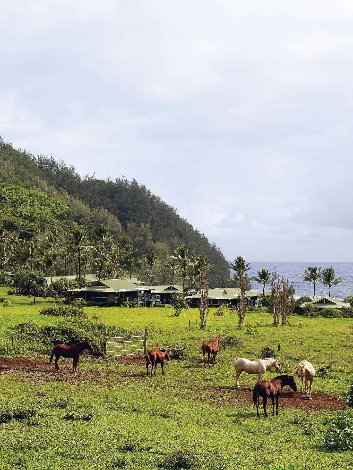 20 Travel Steals for Under $200