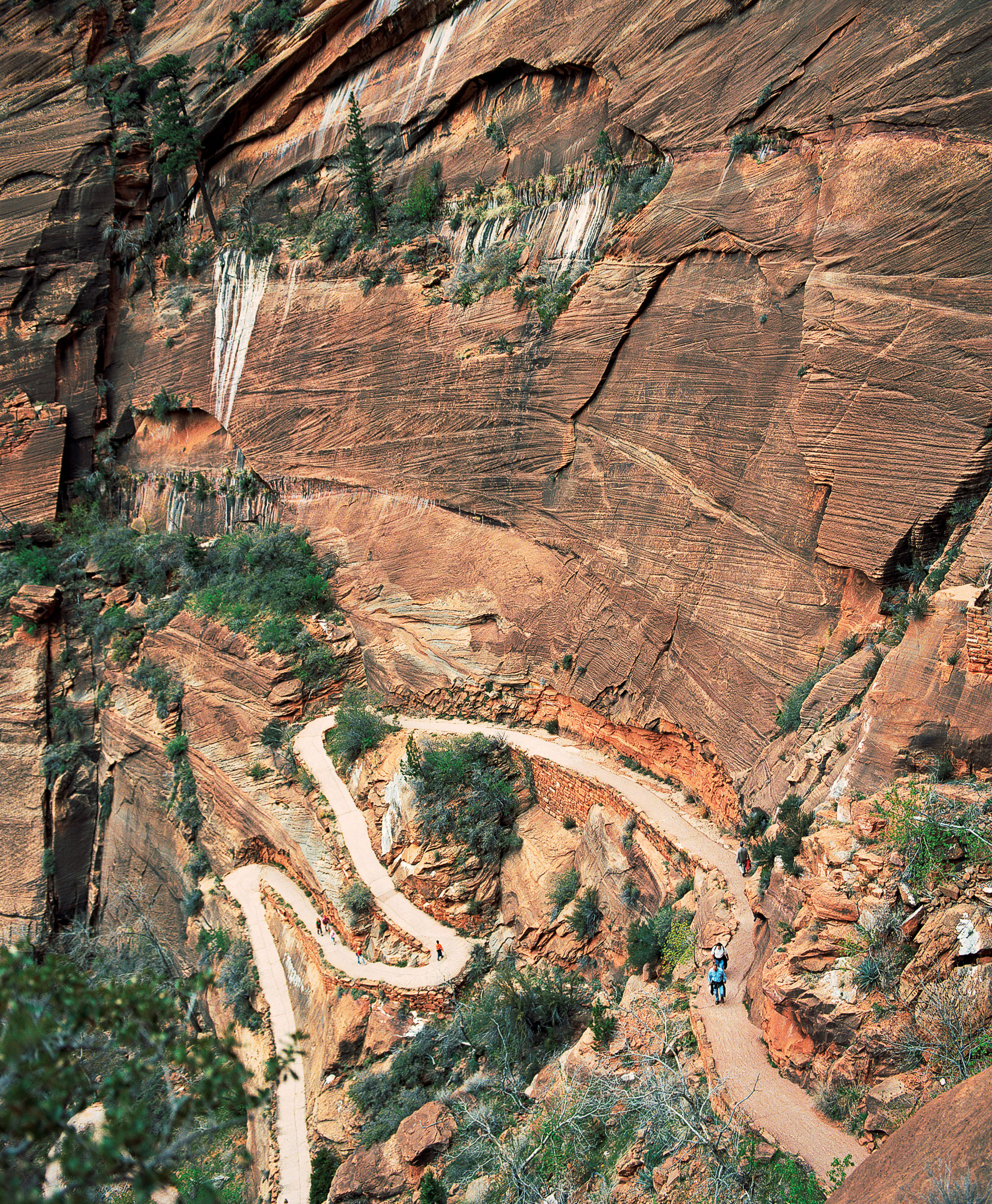 trail-to-angels-landing