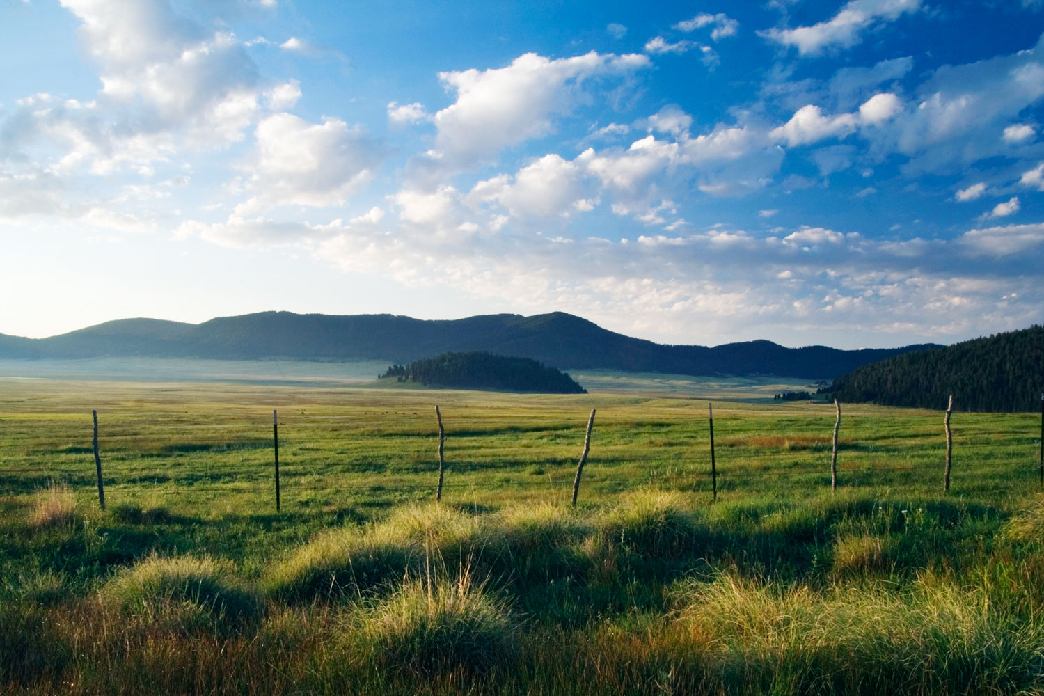 Last-Minute Camping in the Southwest