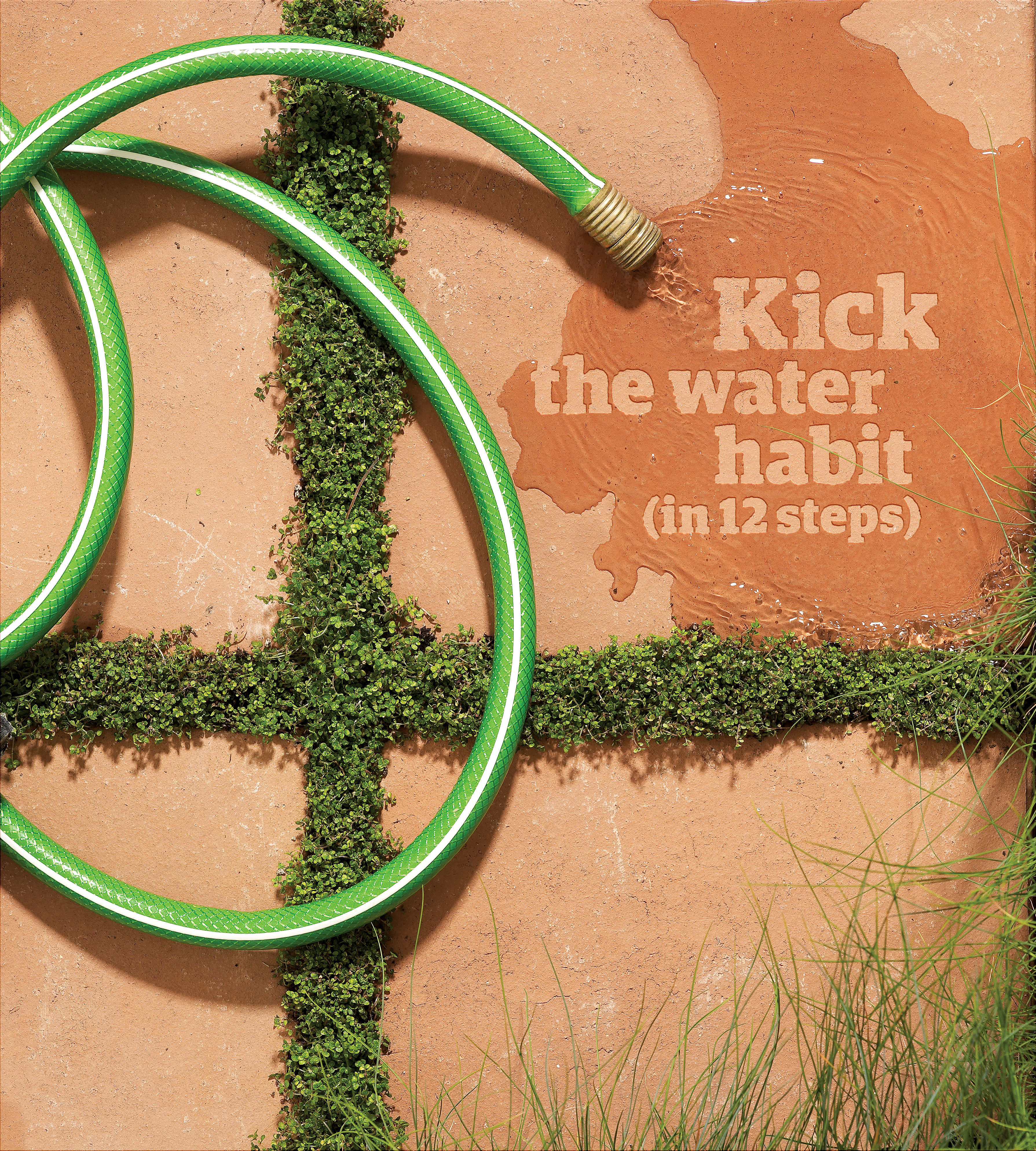 Getting Started: Saving Water in Your Yard