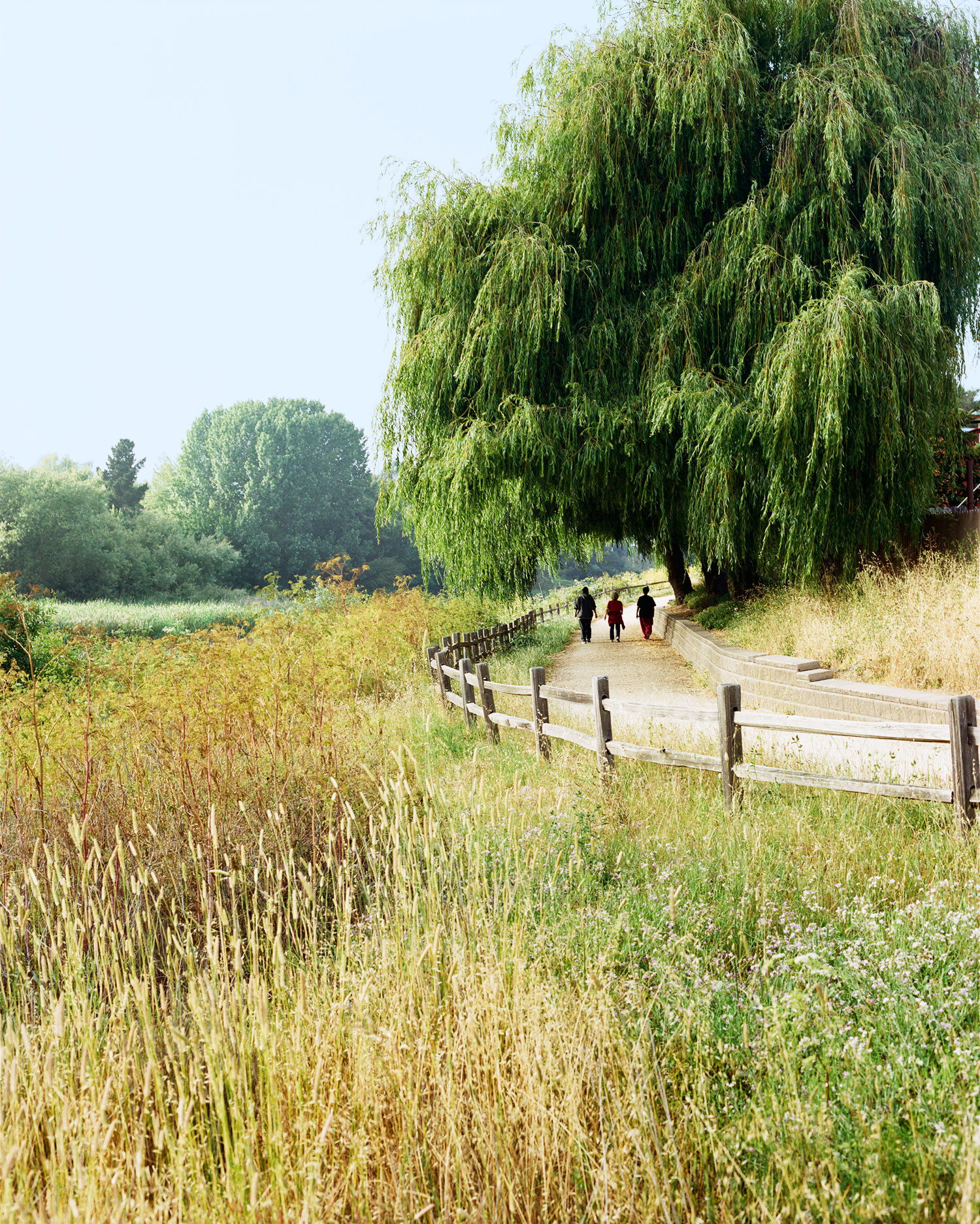 Day Trip: Watsonville, CA