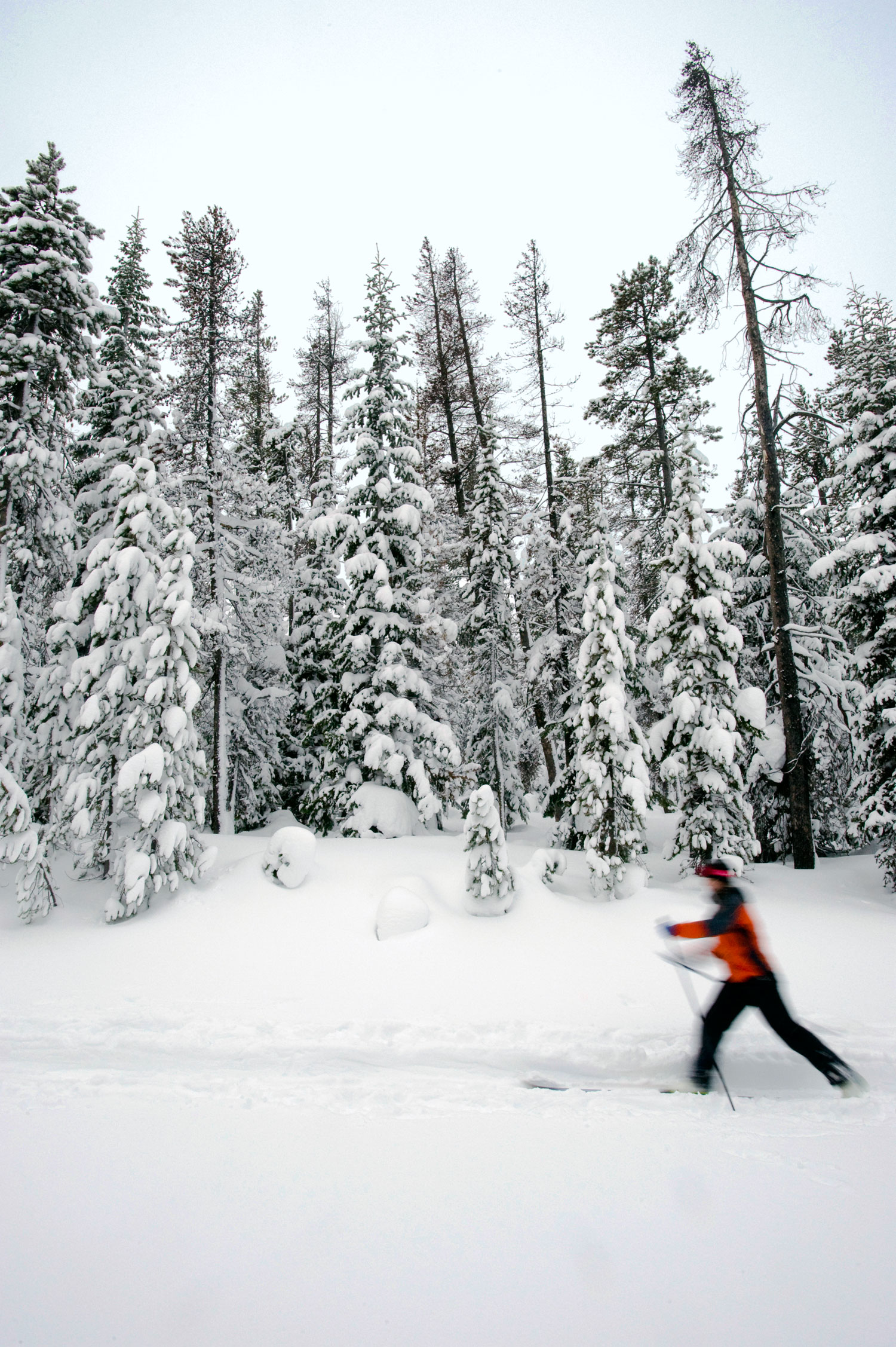 wednesday-bring-back-recess