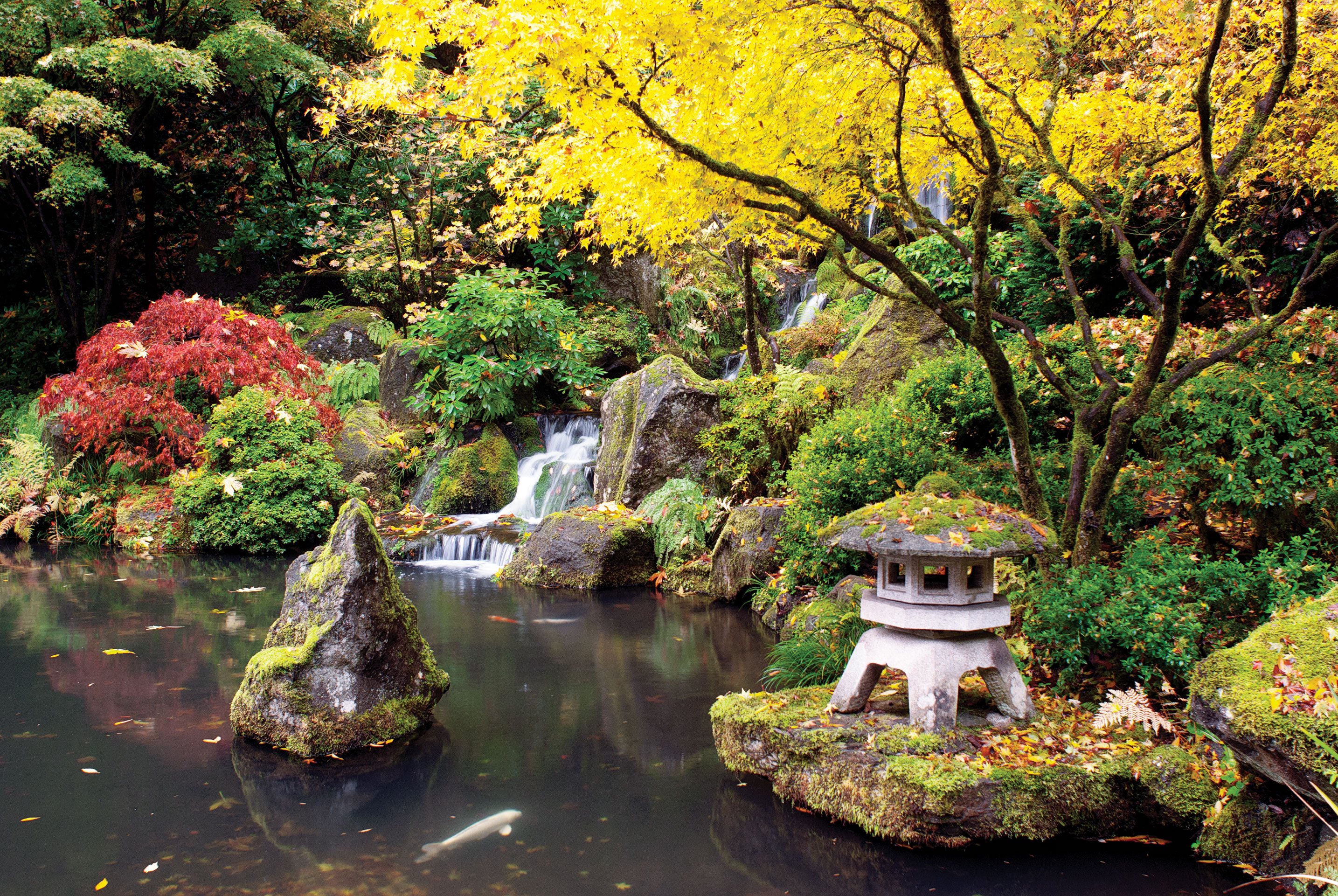 Top 12 Public Gardens