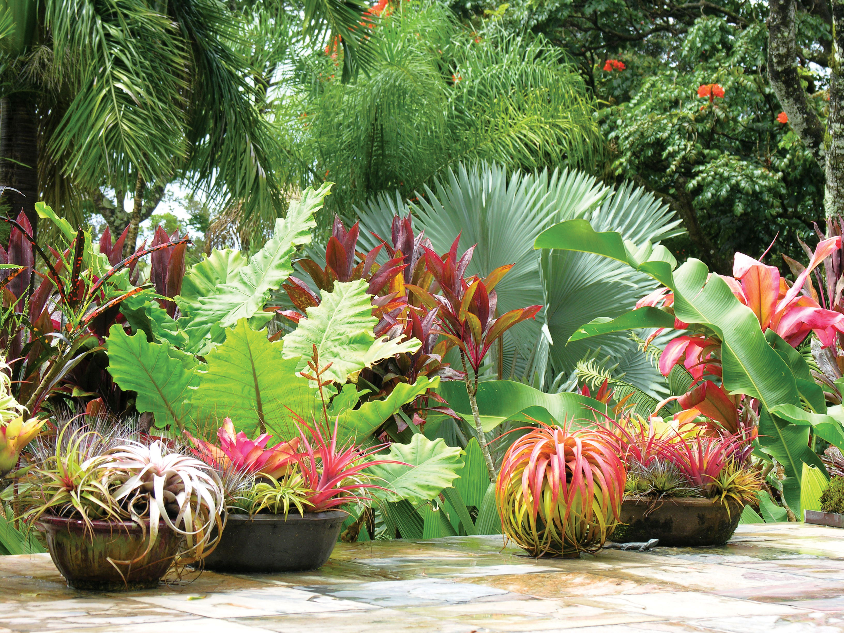 go-wild-with-foliage