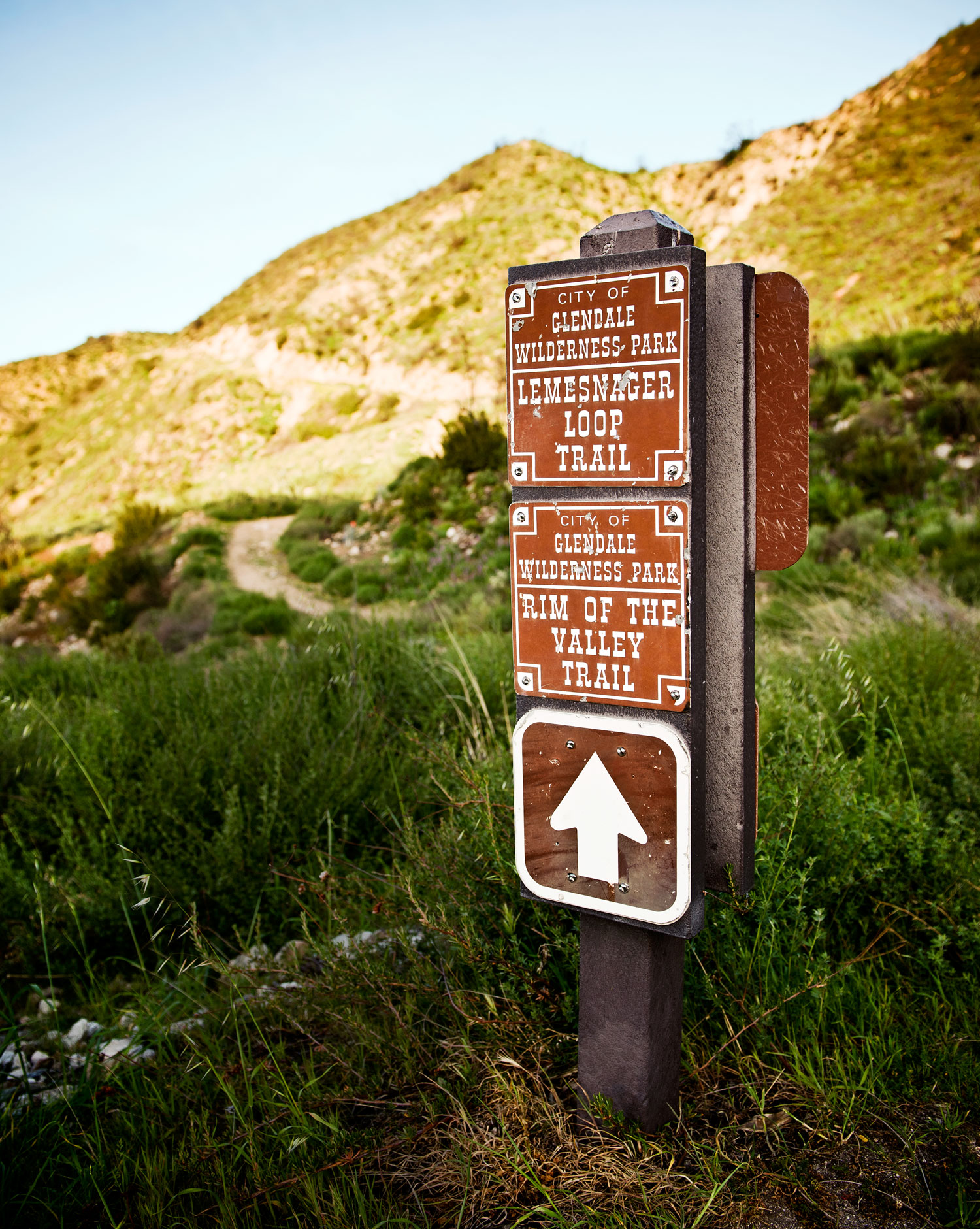 One Perfect Day in Glendale, CA