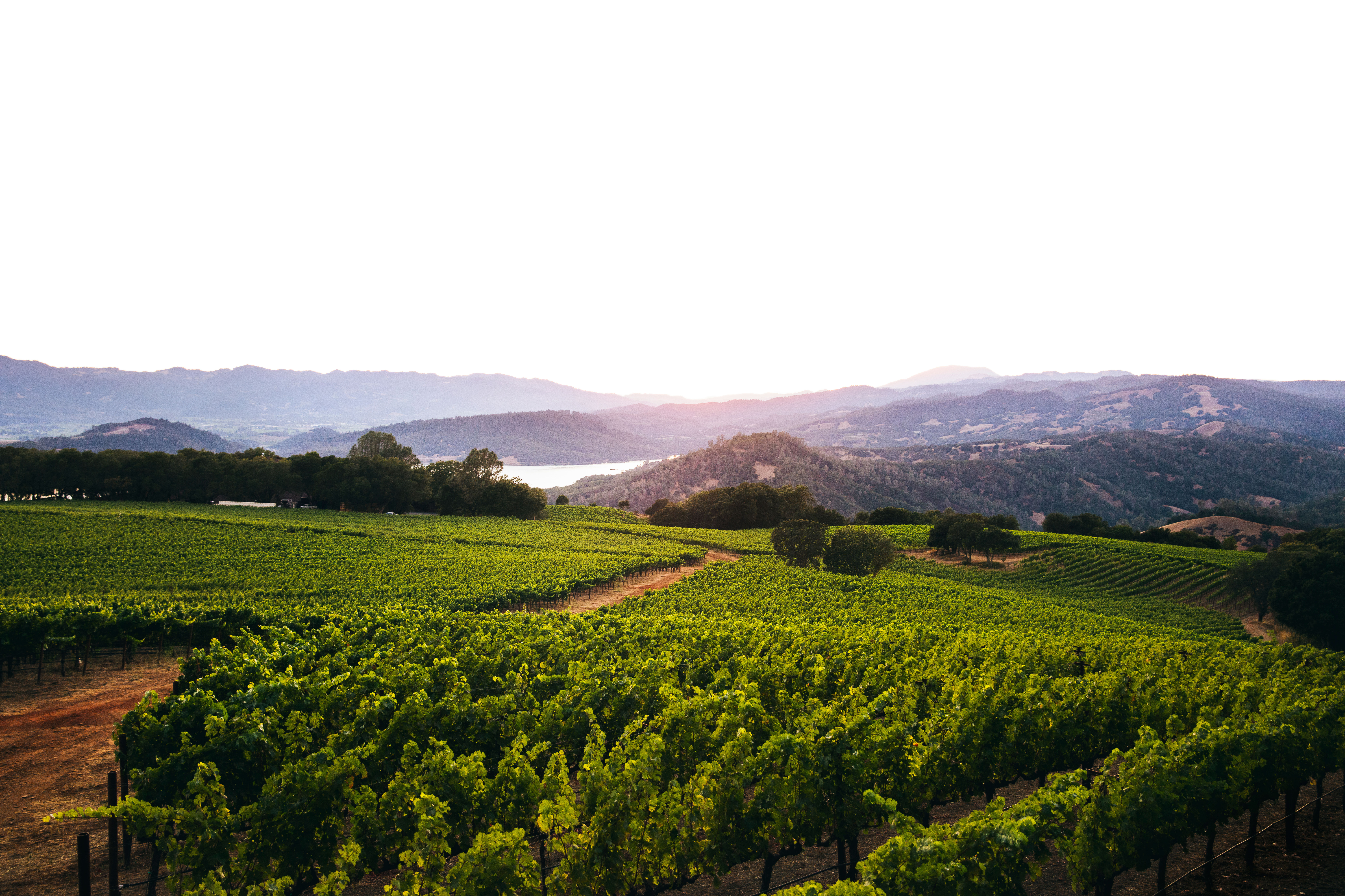 Local’s Guide to Napa Valley