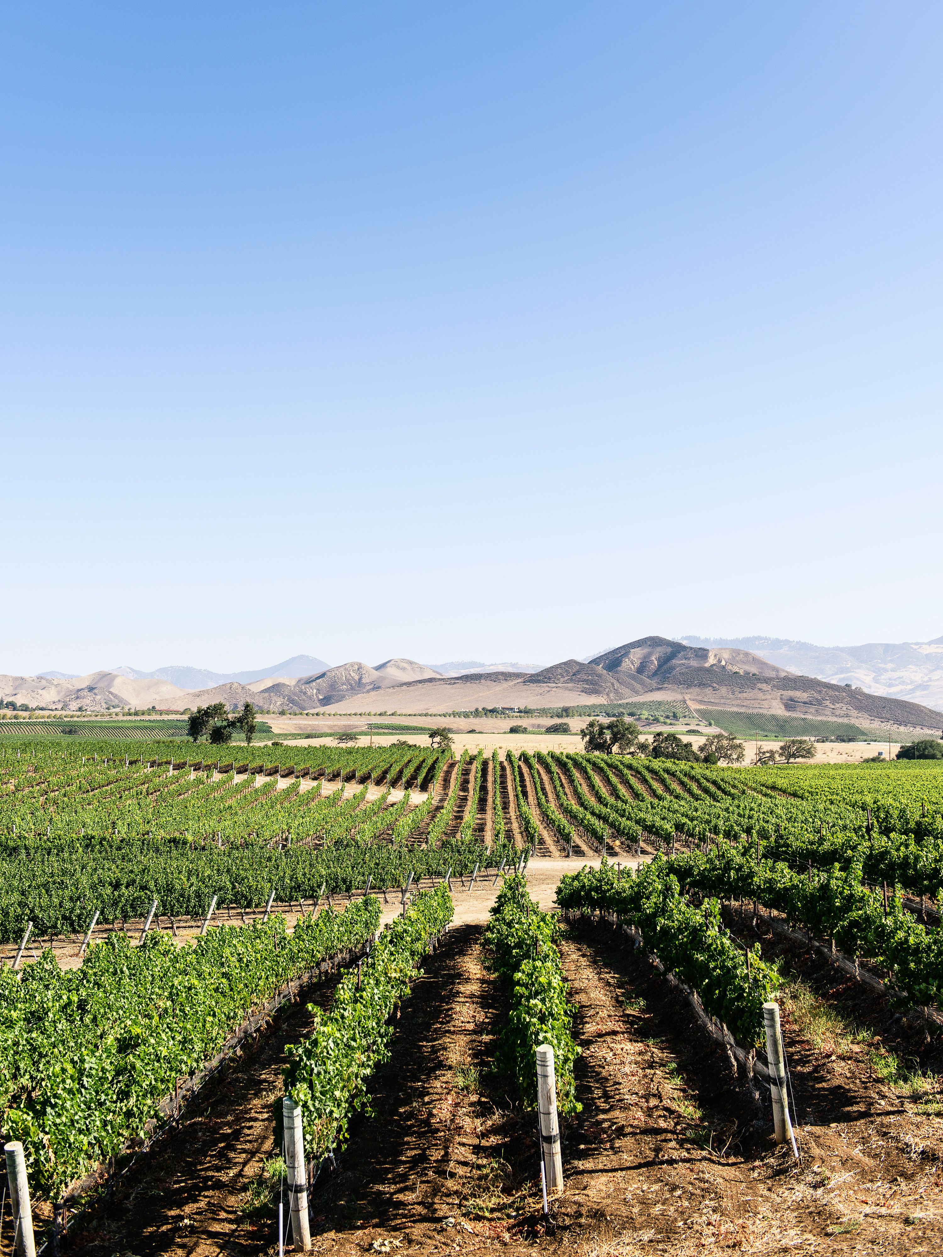 Local’s Guide to Santa Ynez Valley