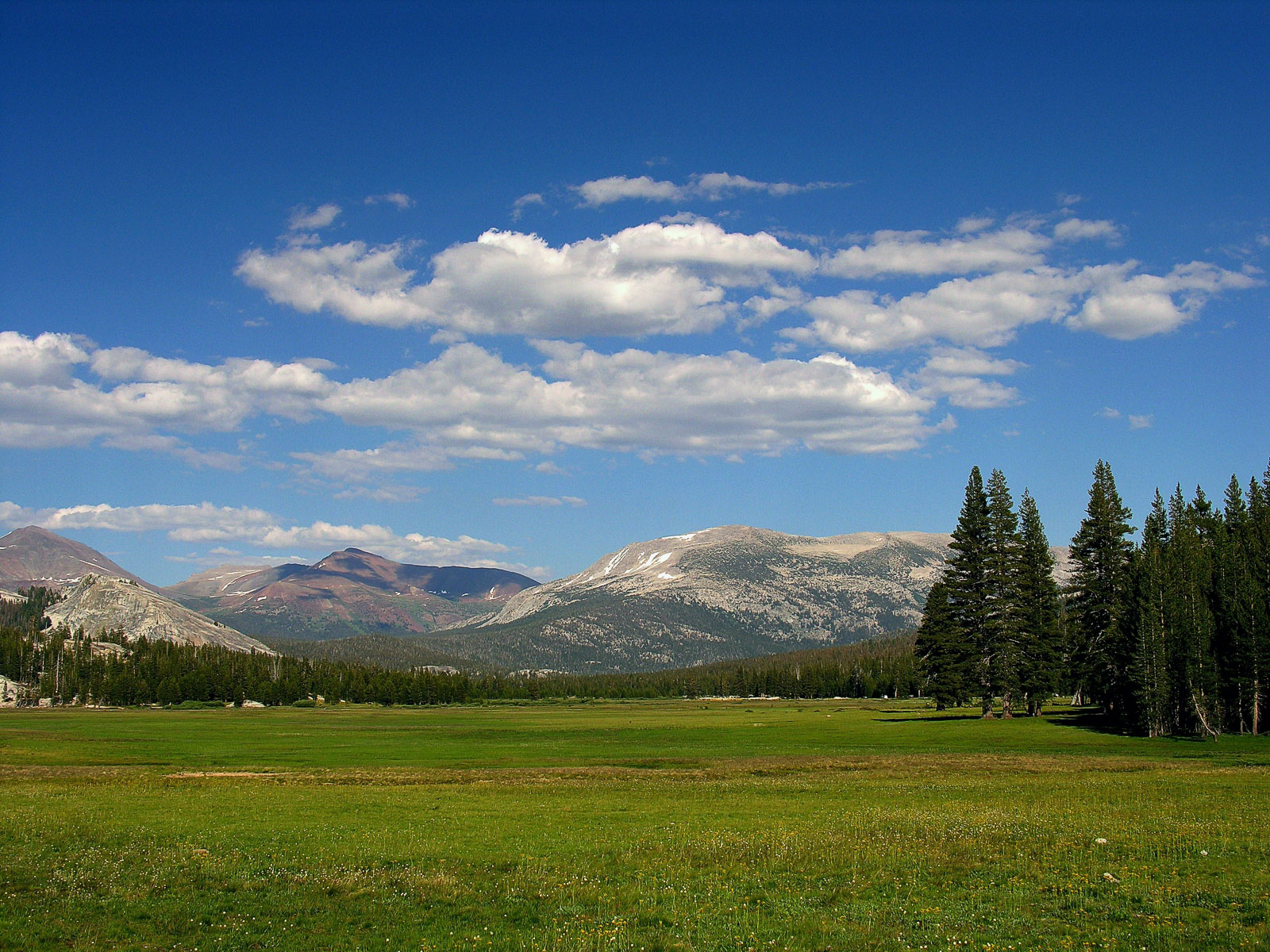 Top Wow Spots of Yosemite