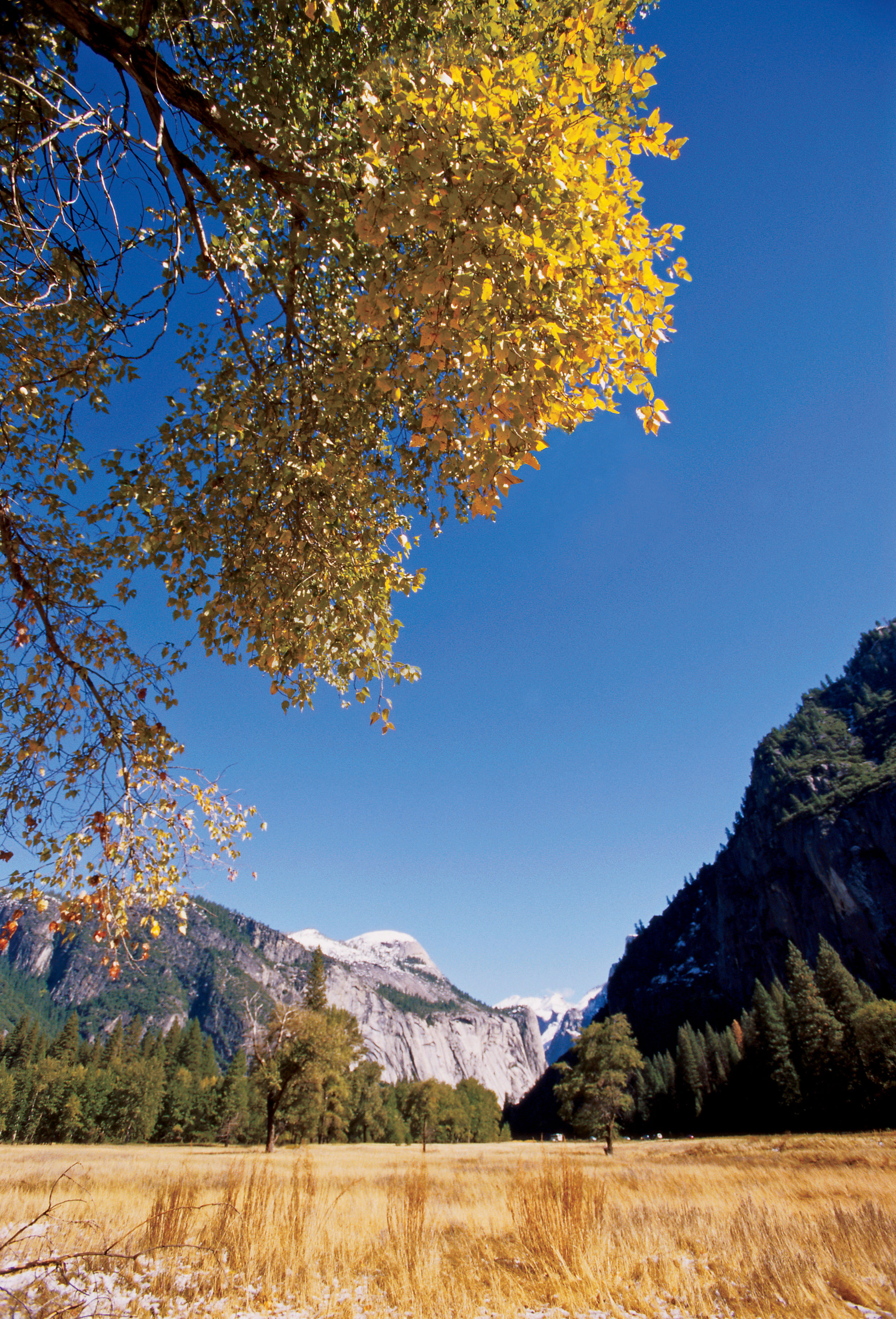 National Parks photo contest rules