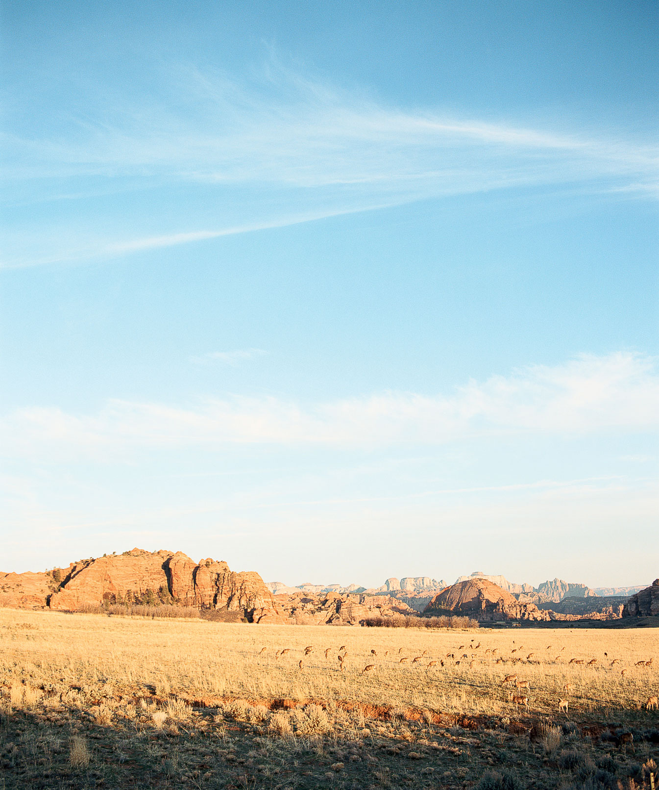 Your Best 3 Days in Zion