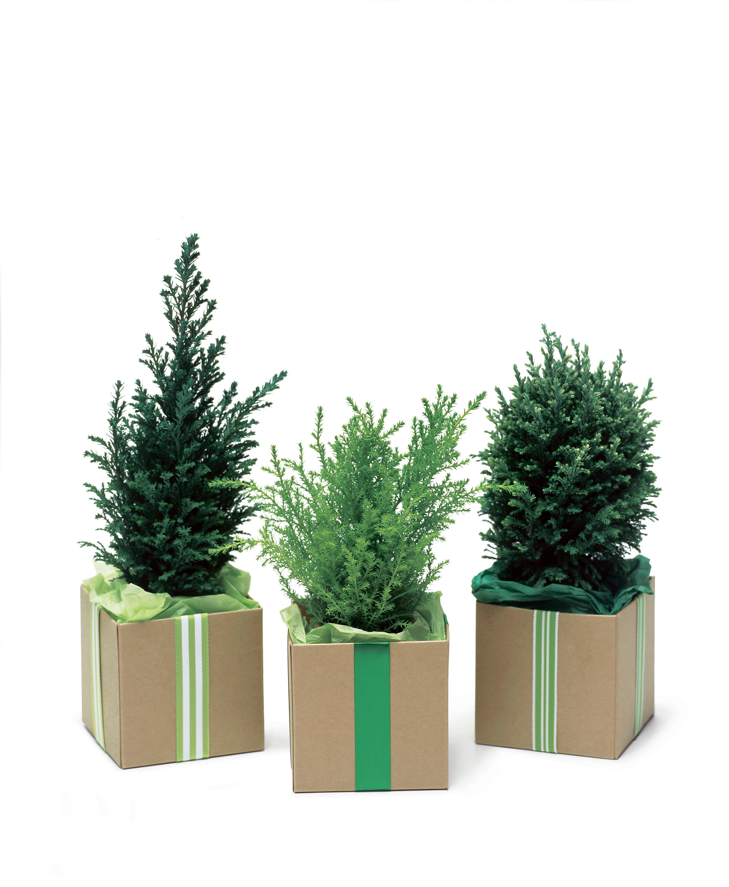 9 living gifts