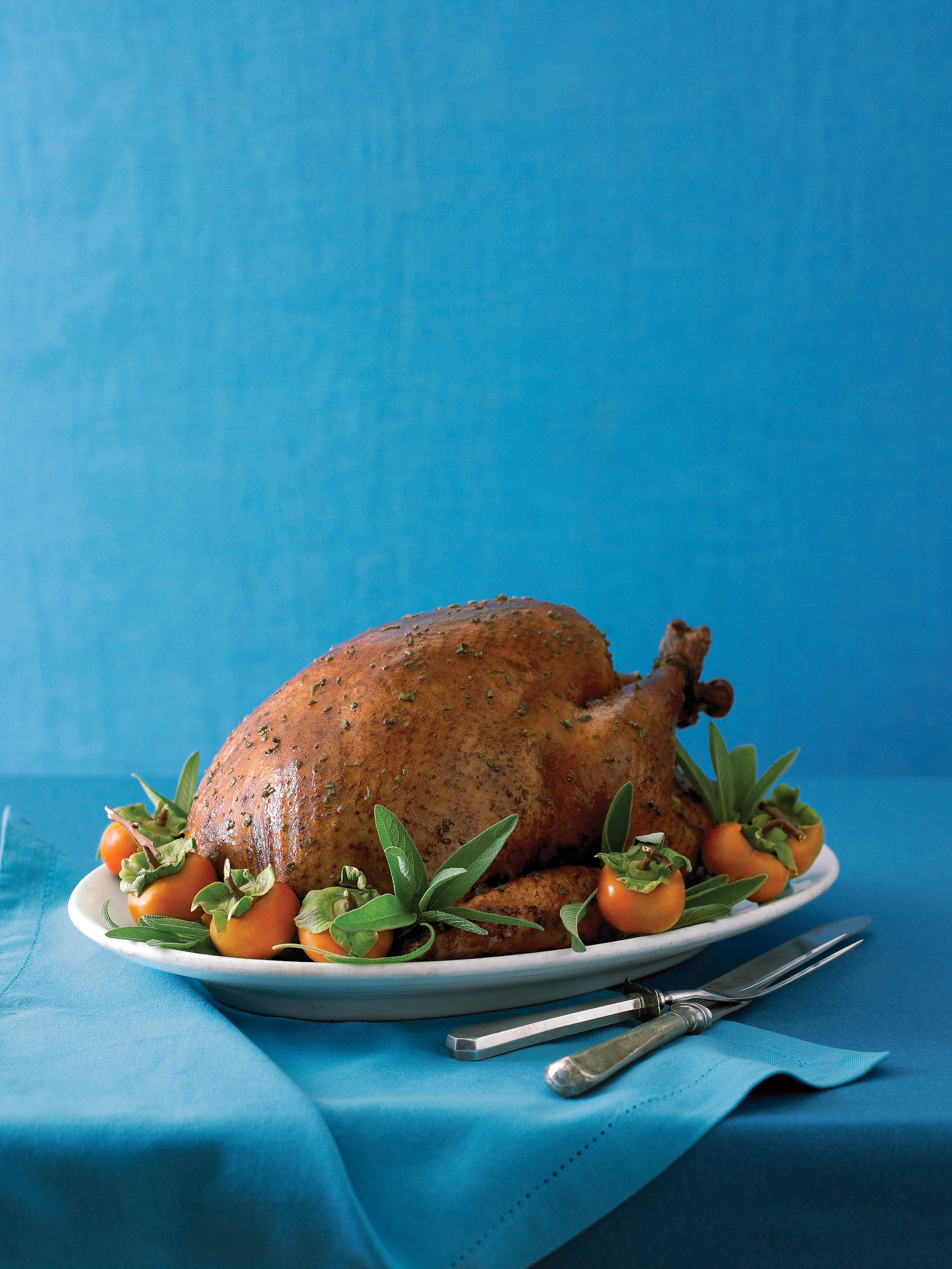 barbecued-glazed-turkey