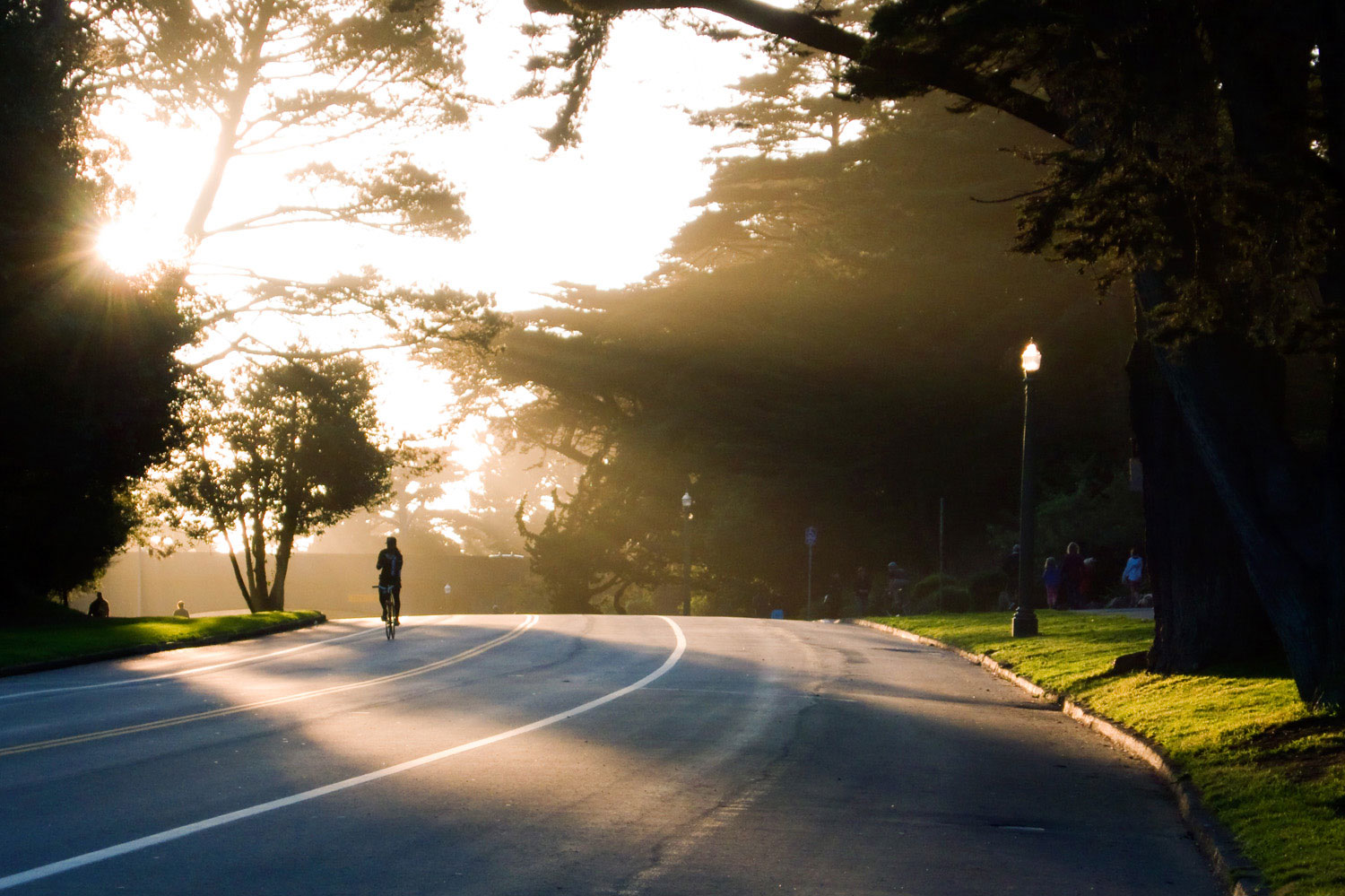San Francisco Bay Area’s Best Bike Routes