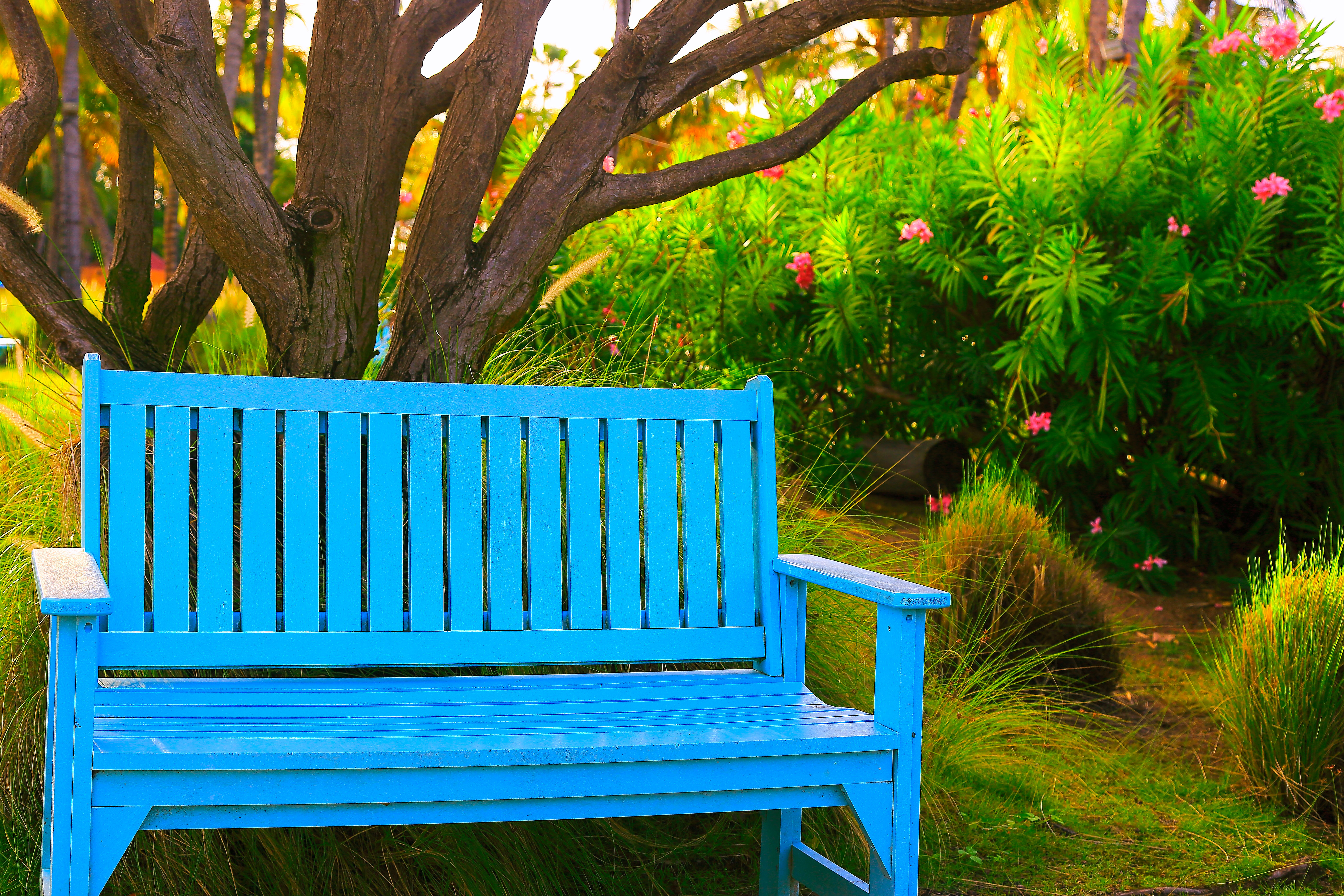 blending-in-with-blue