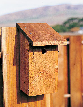 shed-roof-birdhouse
