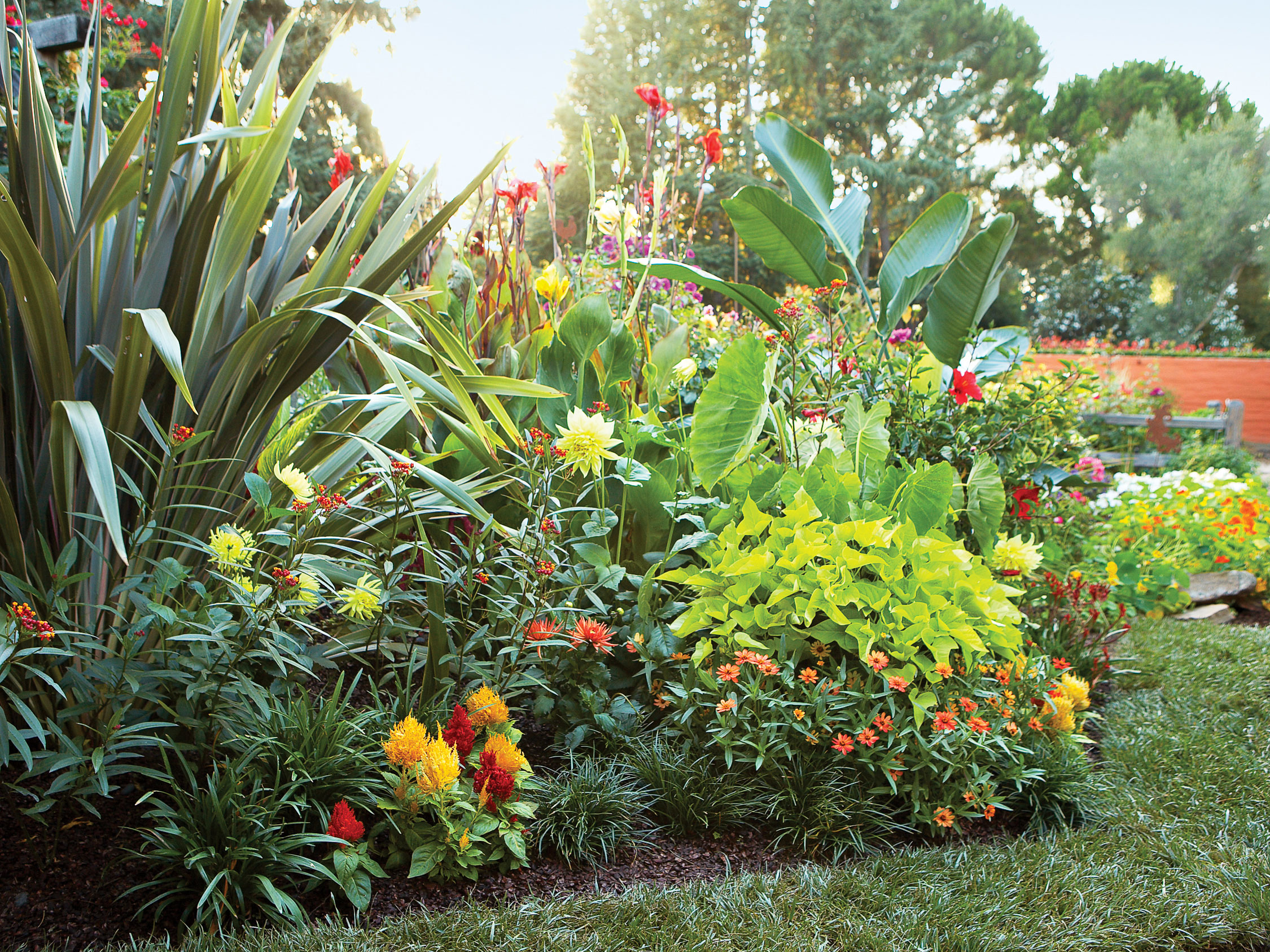 border-3-tropical-jewels