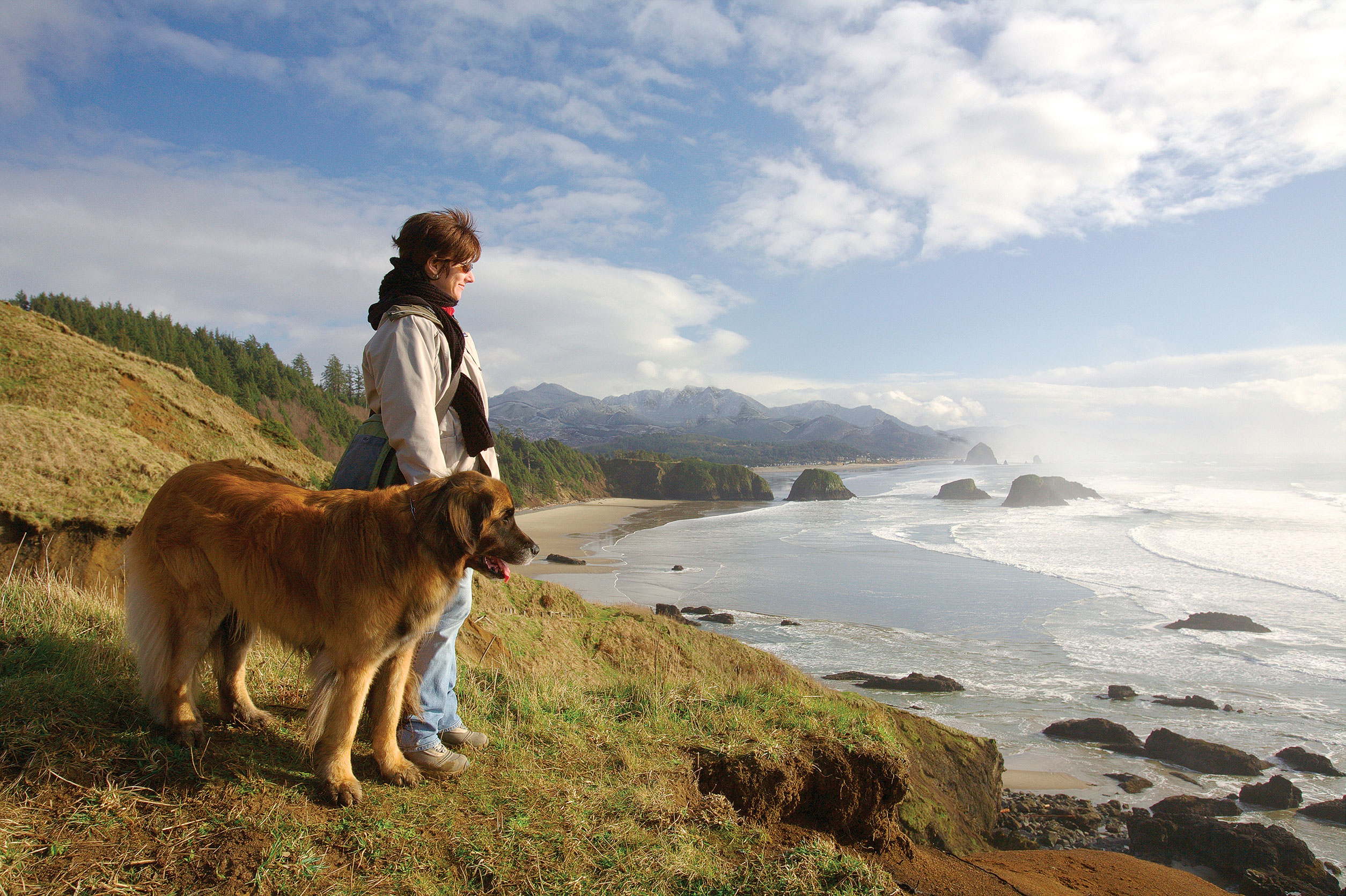 Top 10 Dog-Friendly Escapes