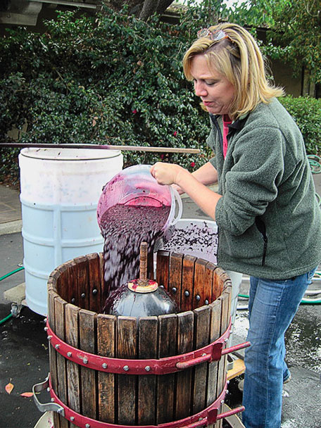 we-crushed-grapes-for-wine