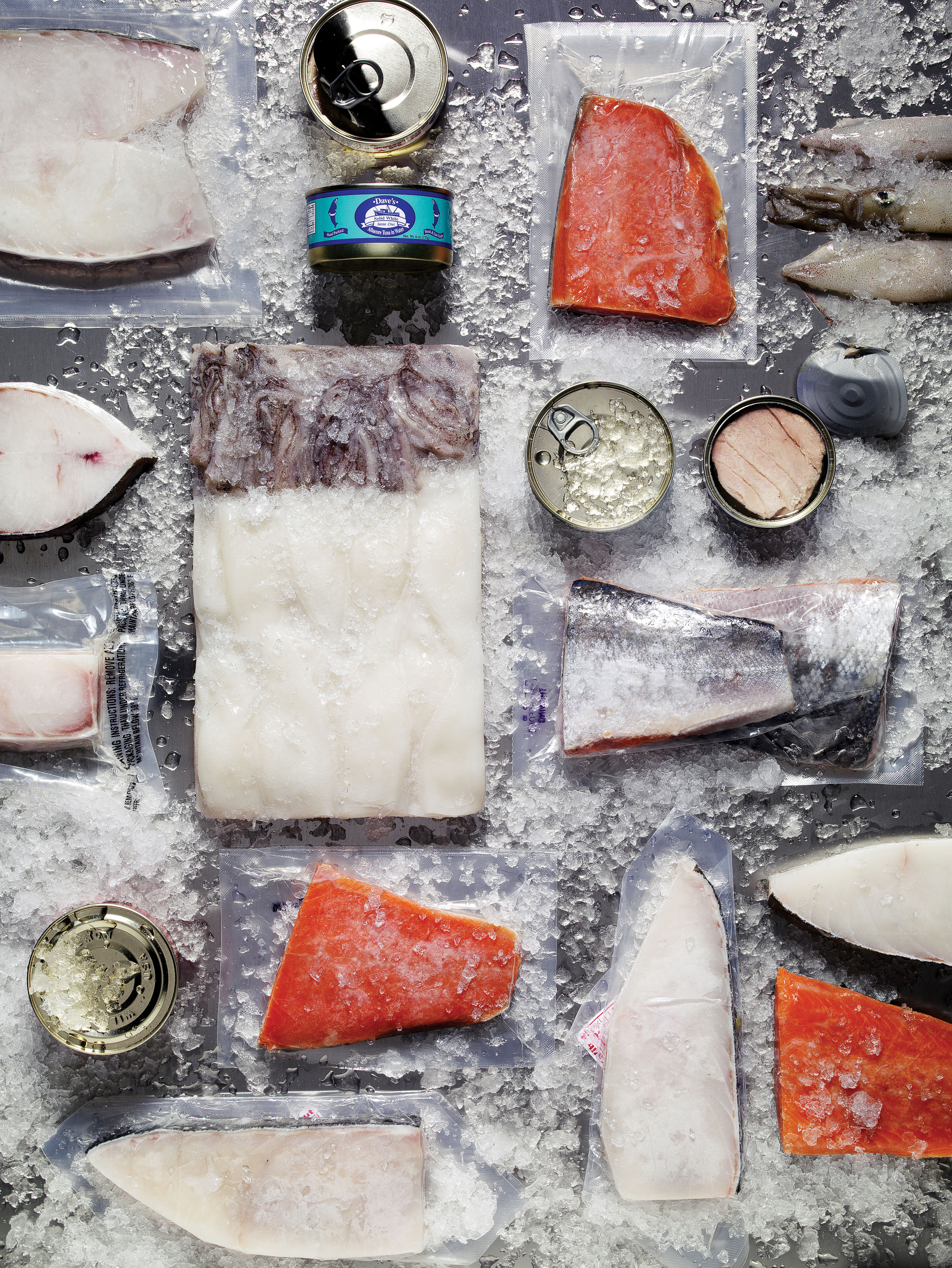Frozen Fish Basics