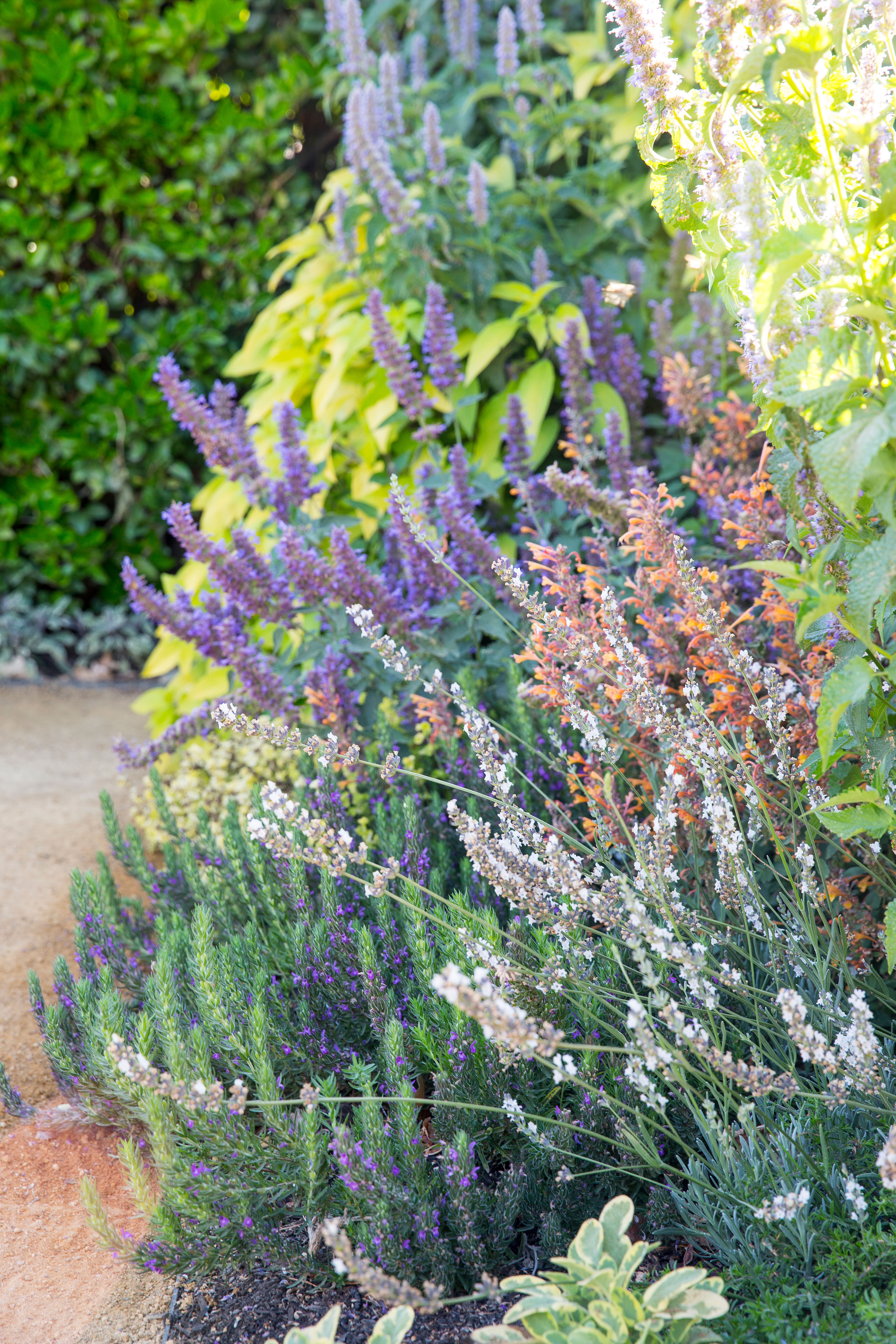 pictures of round floor herb gardens