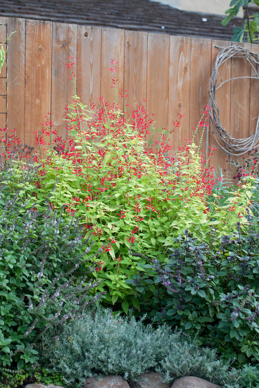 pictures of round floor herb gardens