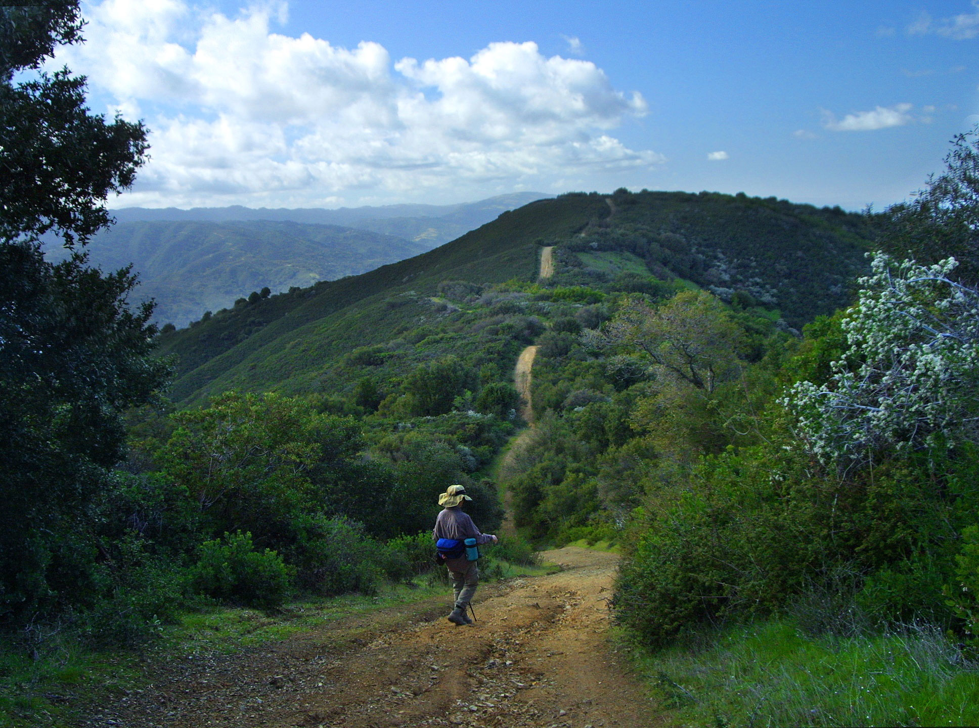 kennedy-limelkin-area