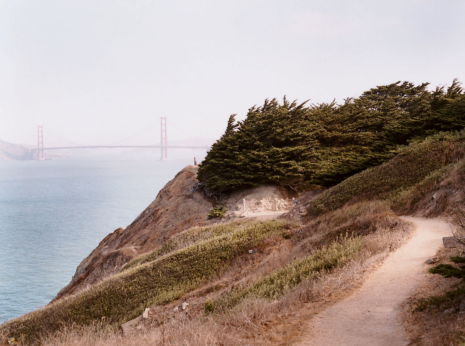 Secrets of the Outer Richmond