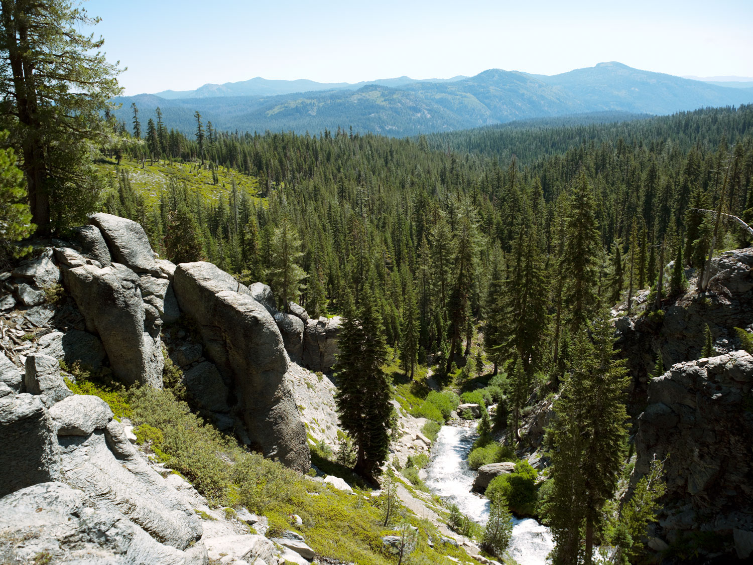 Last-Minute Camping in Northern California