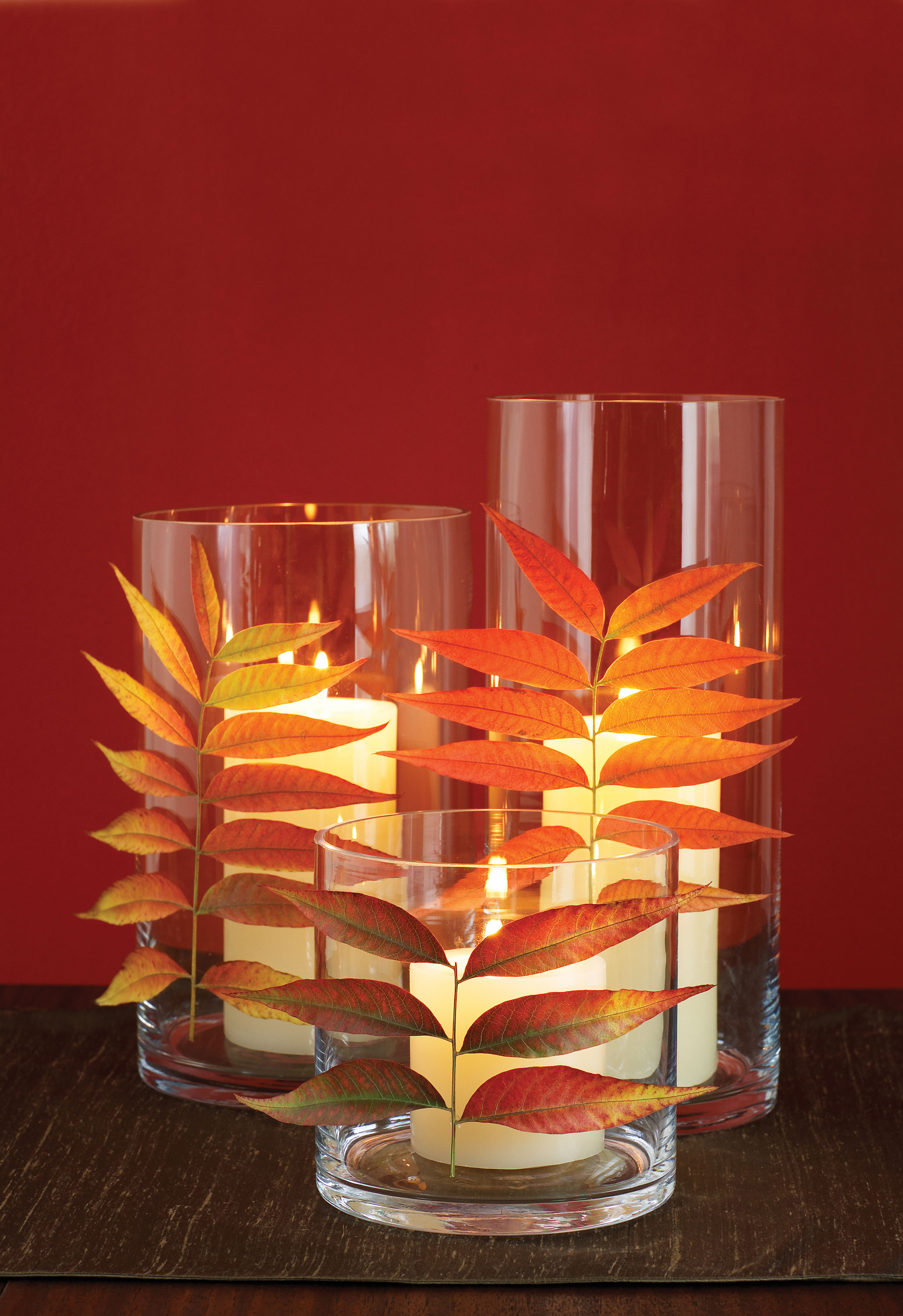 natures-stained-glass