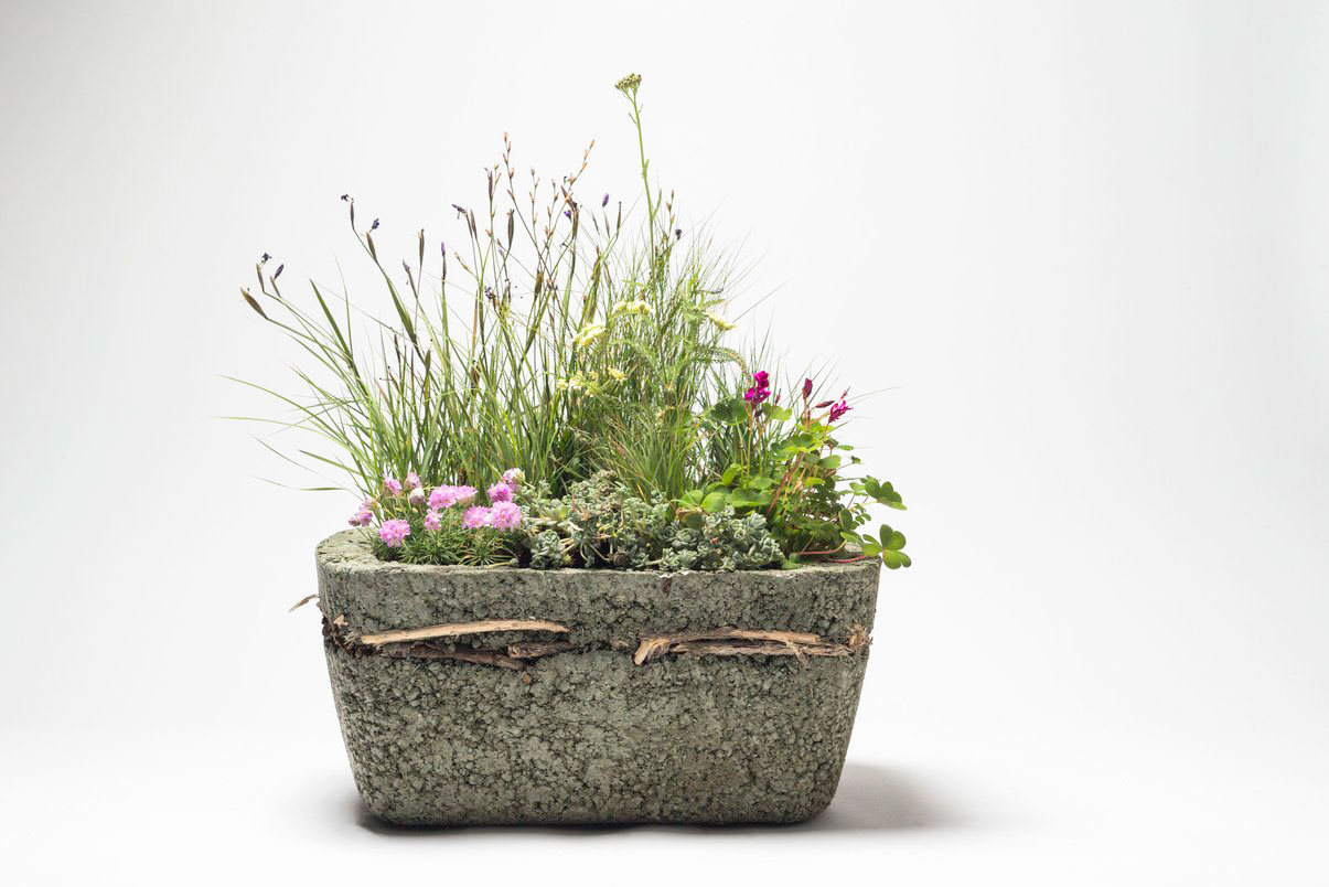 Gorgeous Container Meadows