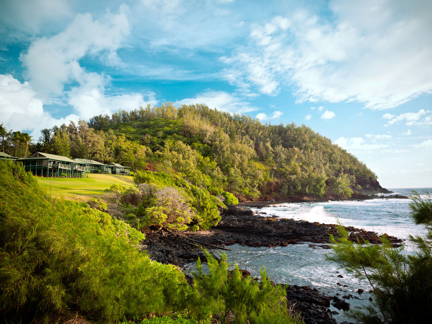 Experience the Magic of Hana