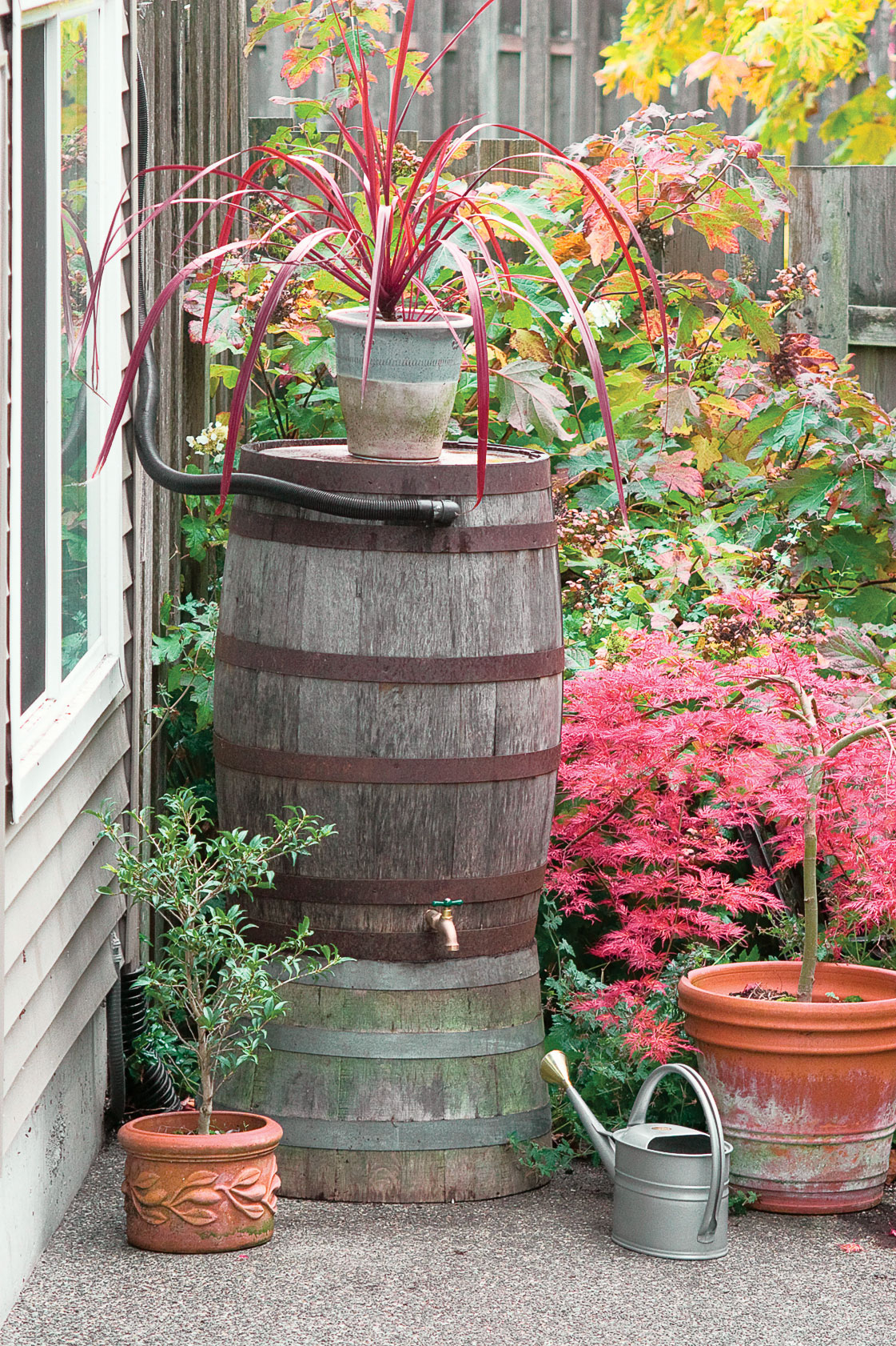 Get ideas for how to catch, store, and use rainwater with cisterns 