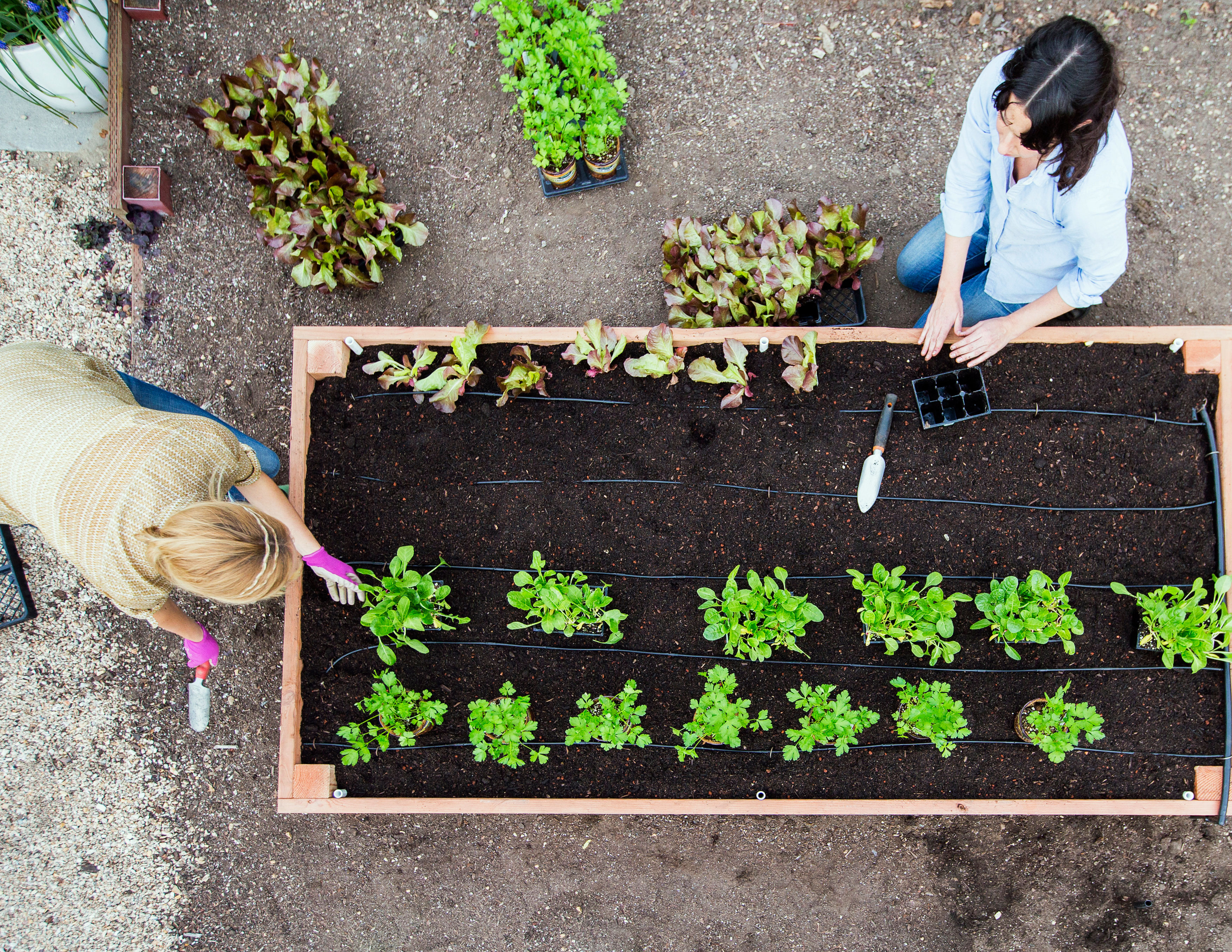 Watch Us Build a Simple Raised Bed