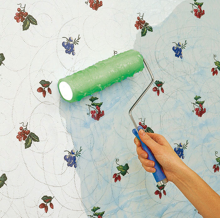 How to apply wallpaper stripper