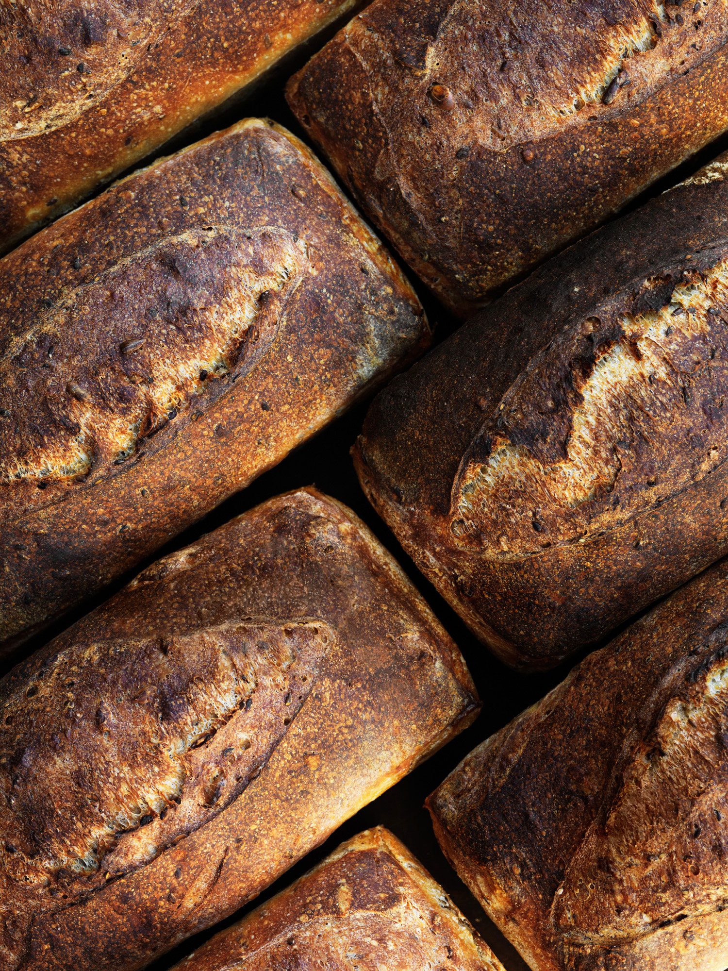 San Francisco’s Sourdough Bread Renaissance