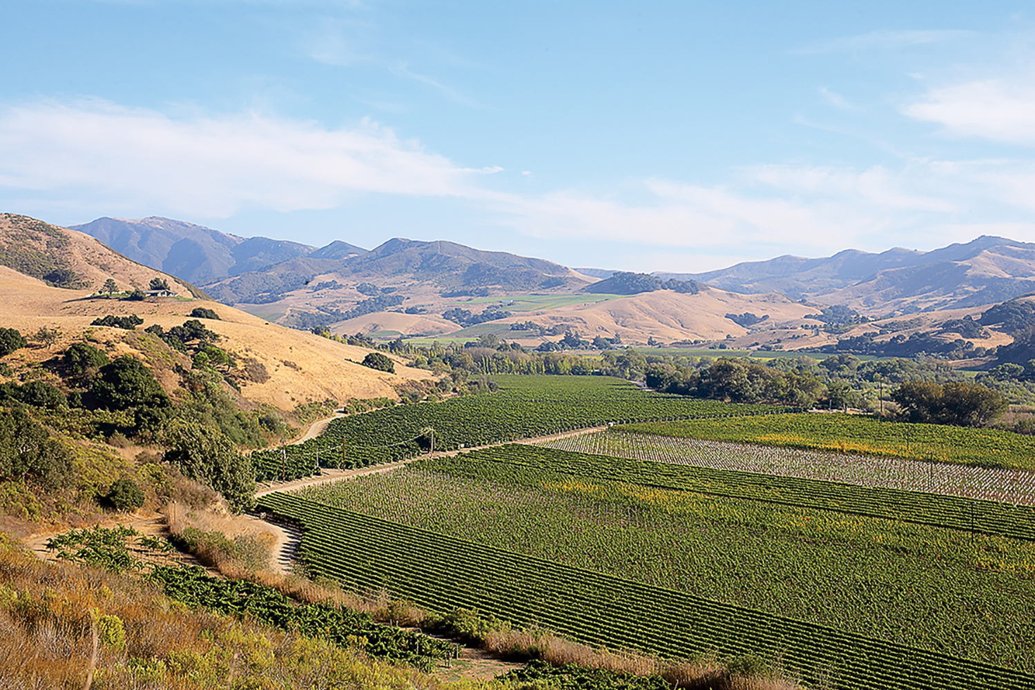 soak-up-a-santa-rita-wine-getaway